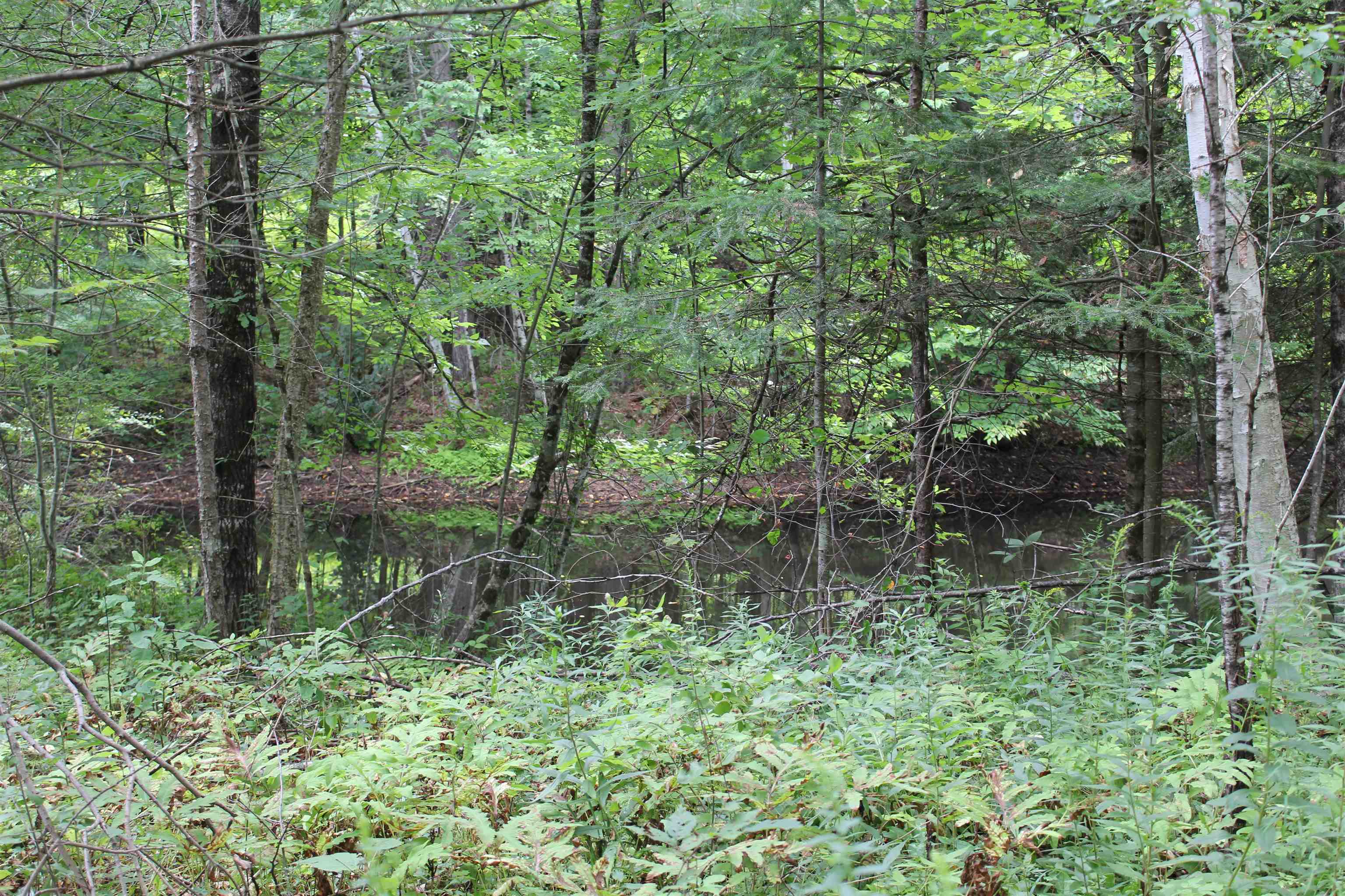 1049 Barker Road Property Photo 7