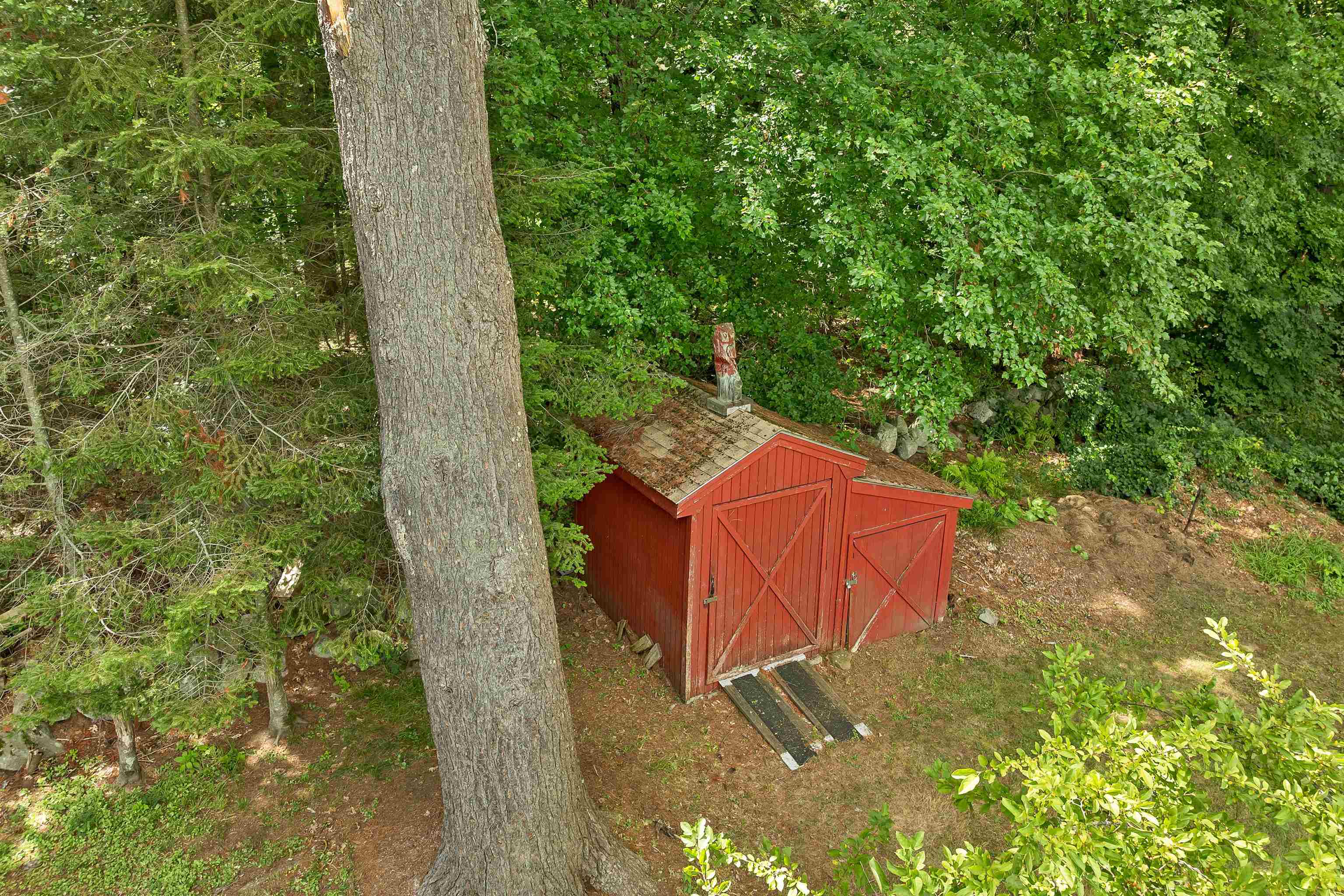 21 Briar Avenue Property Photo 29