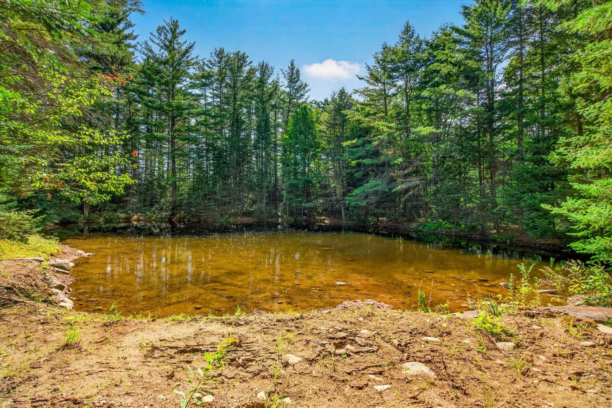 192 Vermont Route 100 Property Photo 46