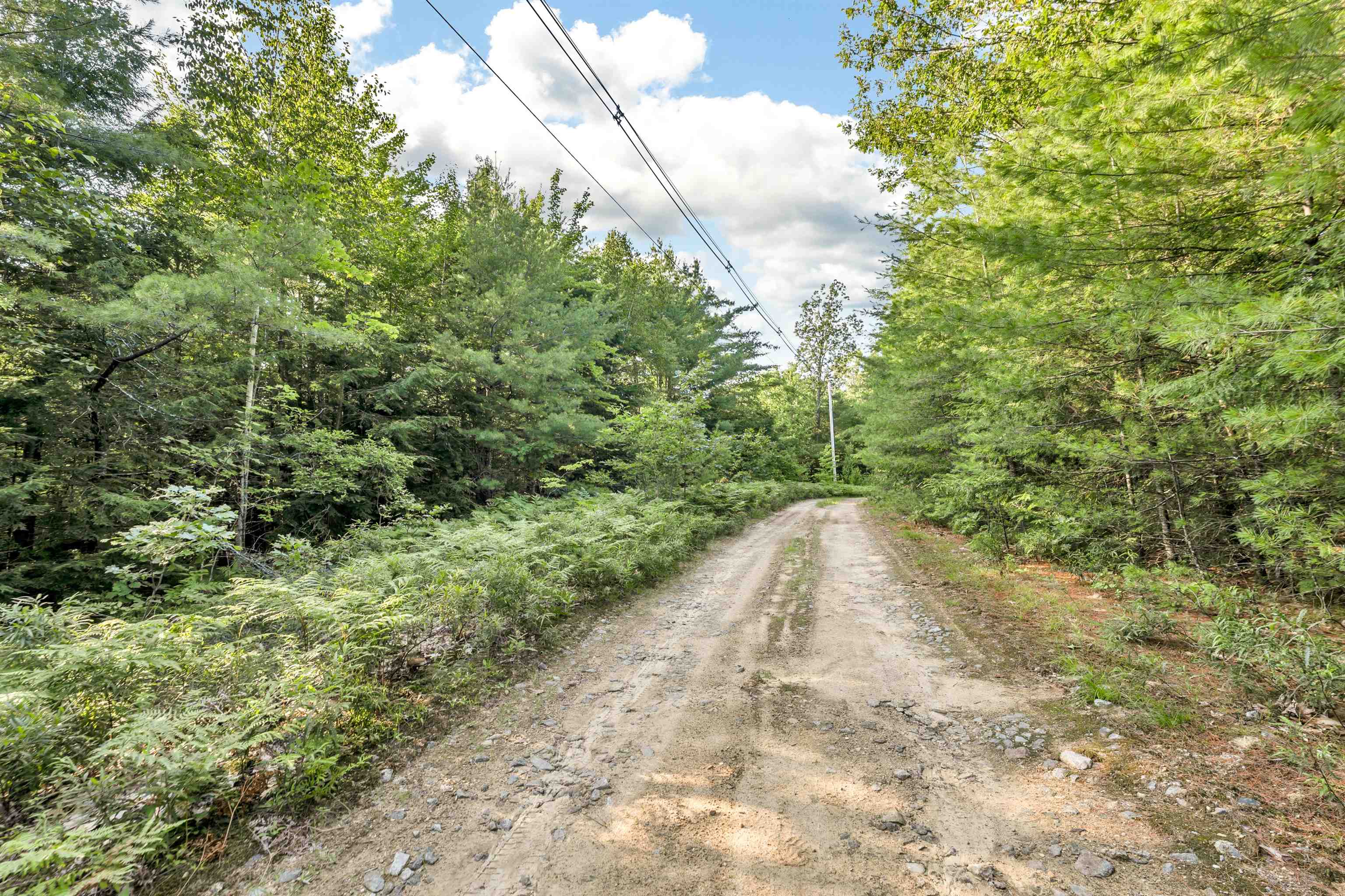 290 Pine Hill Road Property Photo 4