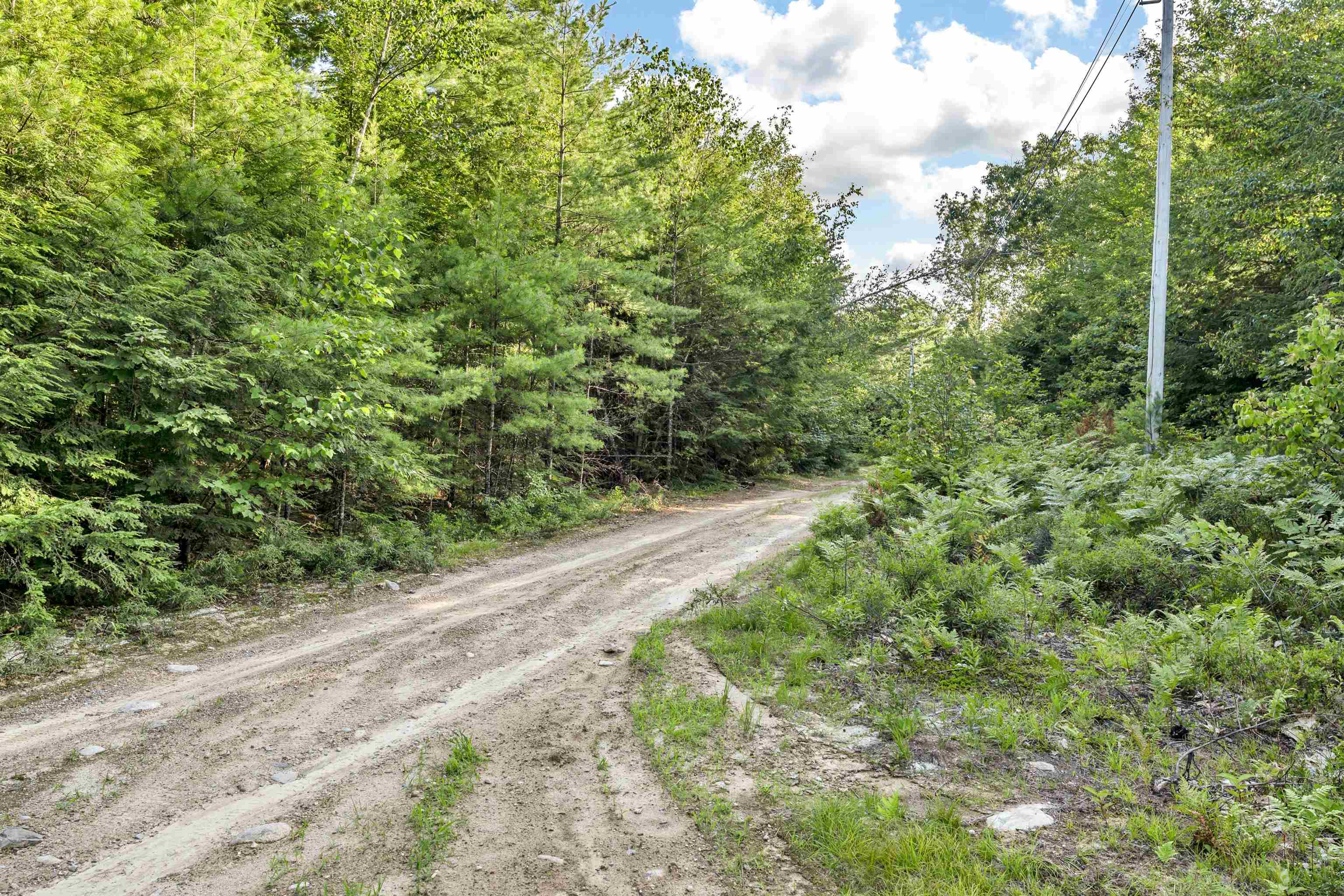 290 Pine Hill Road Property Photo 5
