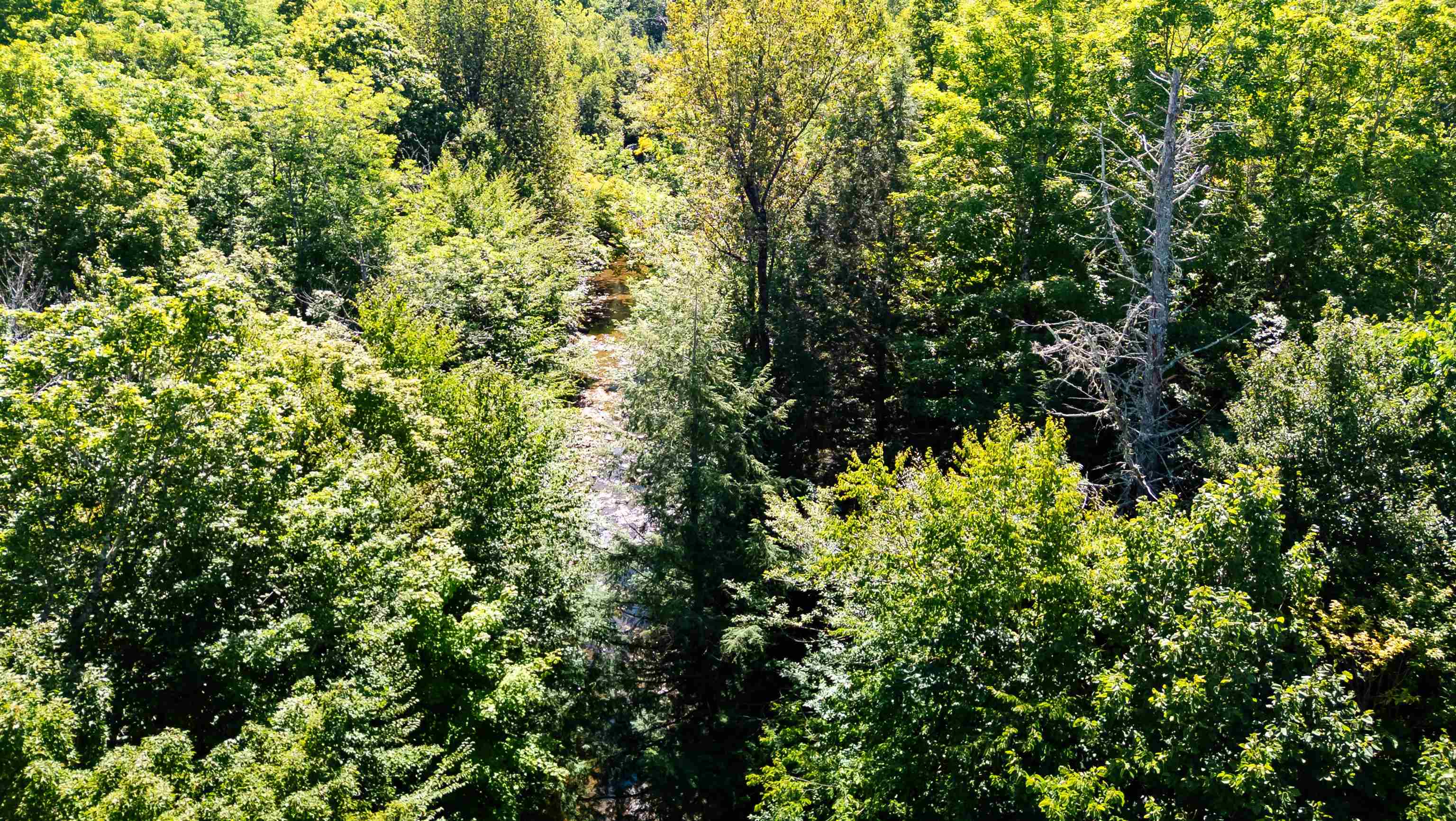 604 Cole Hill Road Property Photo 15