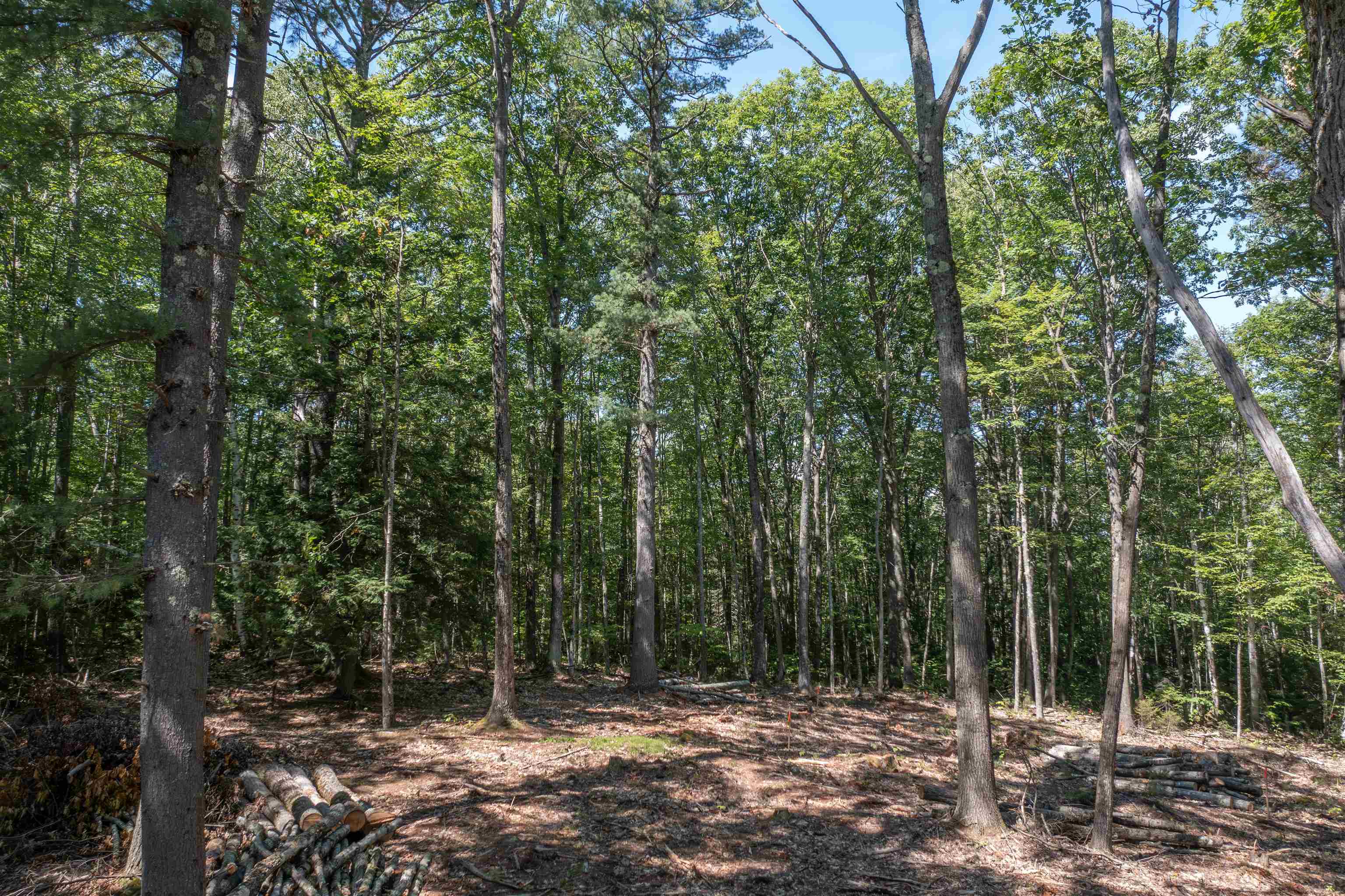 13 Windgate Terrace Property Photo 16