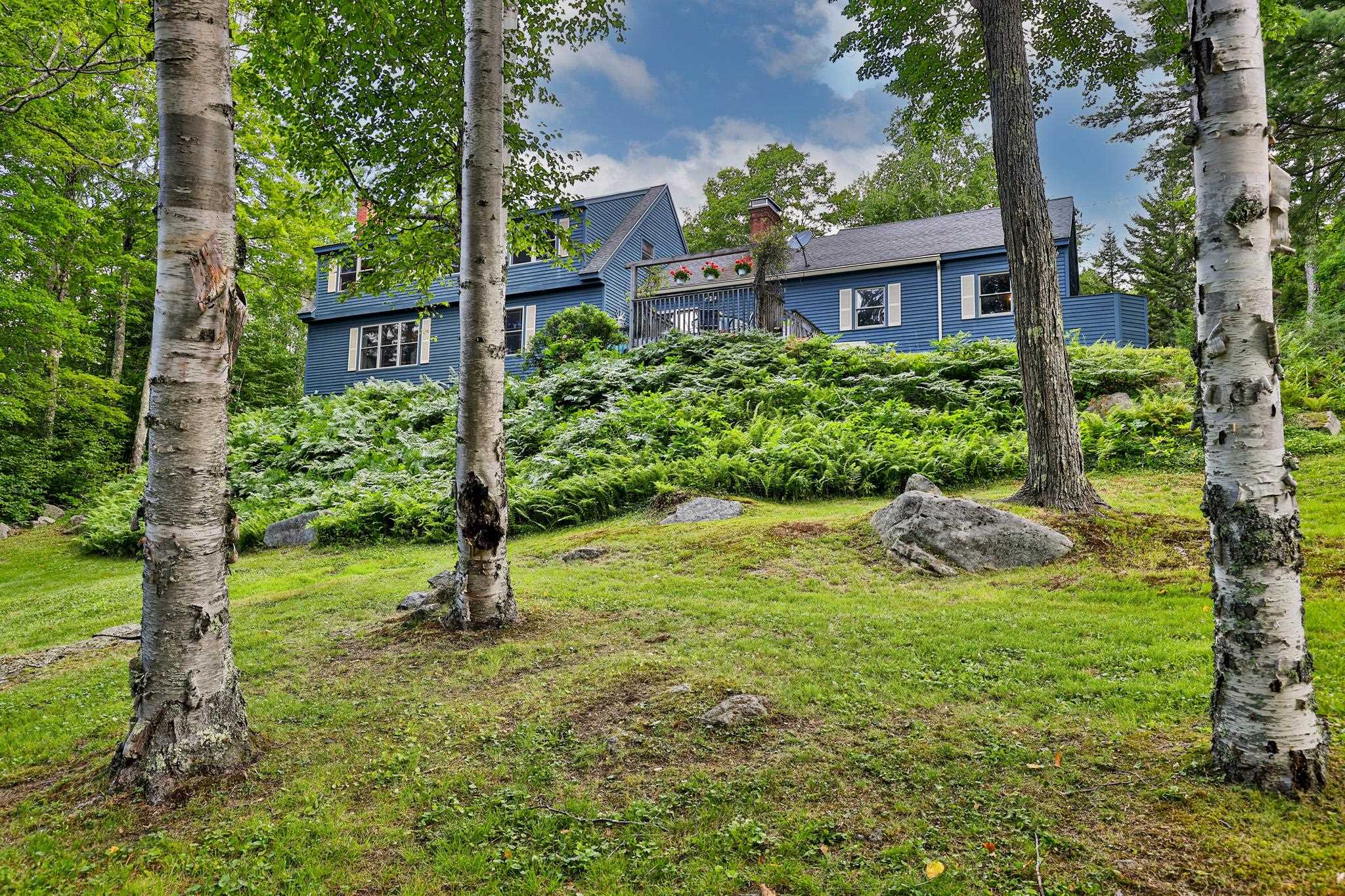 294 Dale Road Property Photo 1