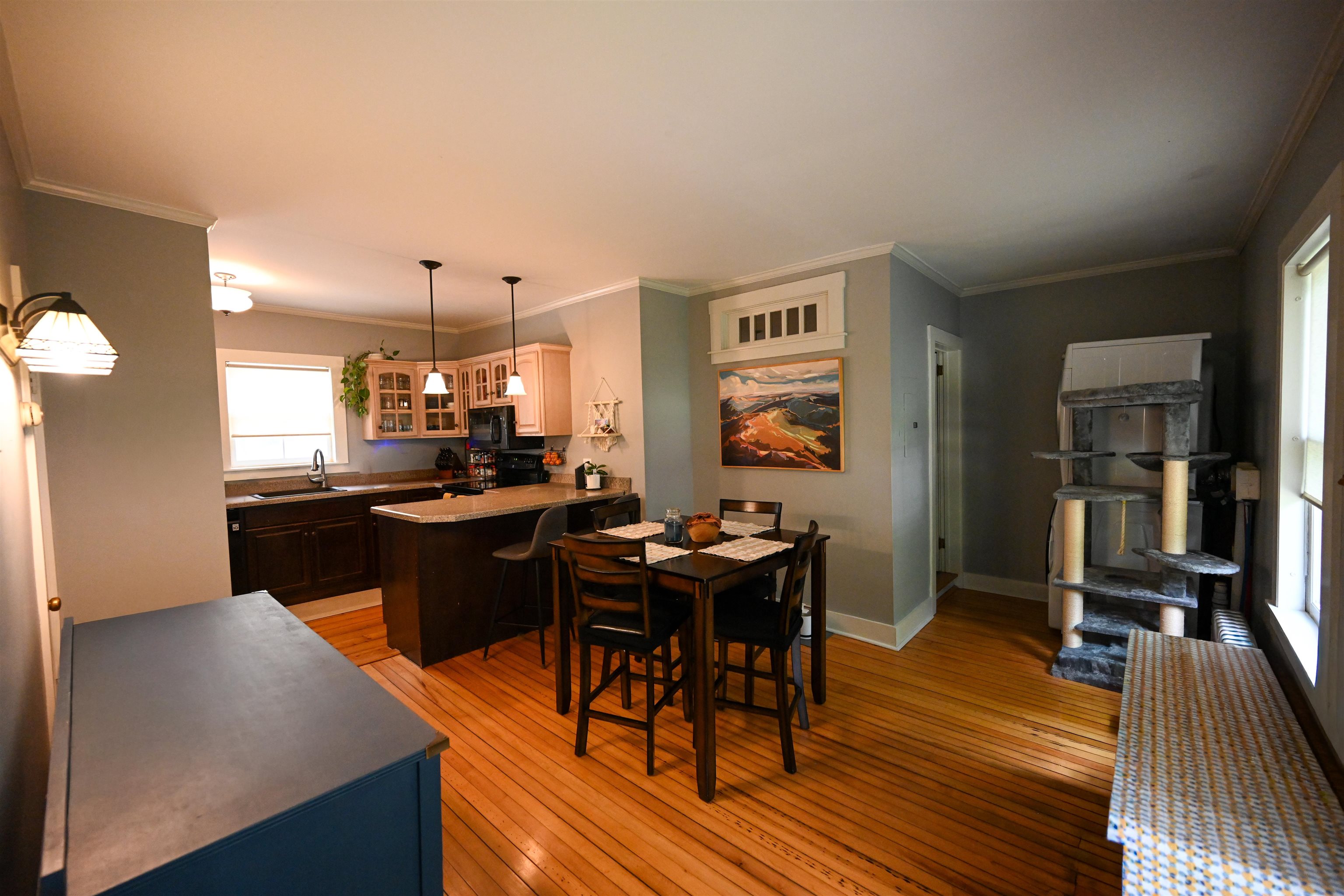 184 Elm Street Property Photo 25