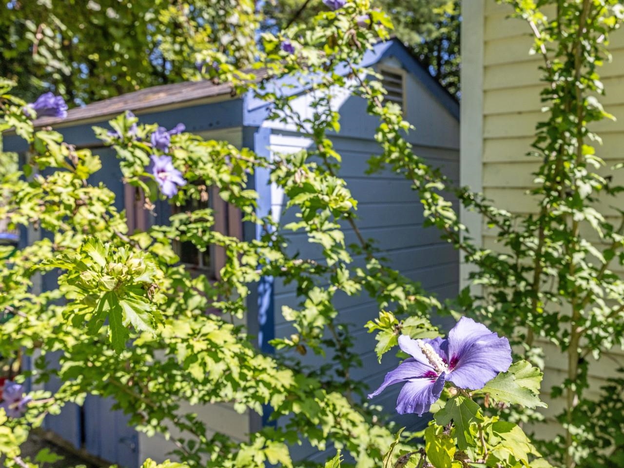 50 White Cedar Lane Property Photo 29