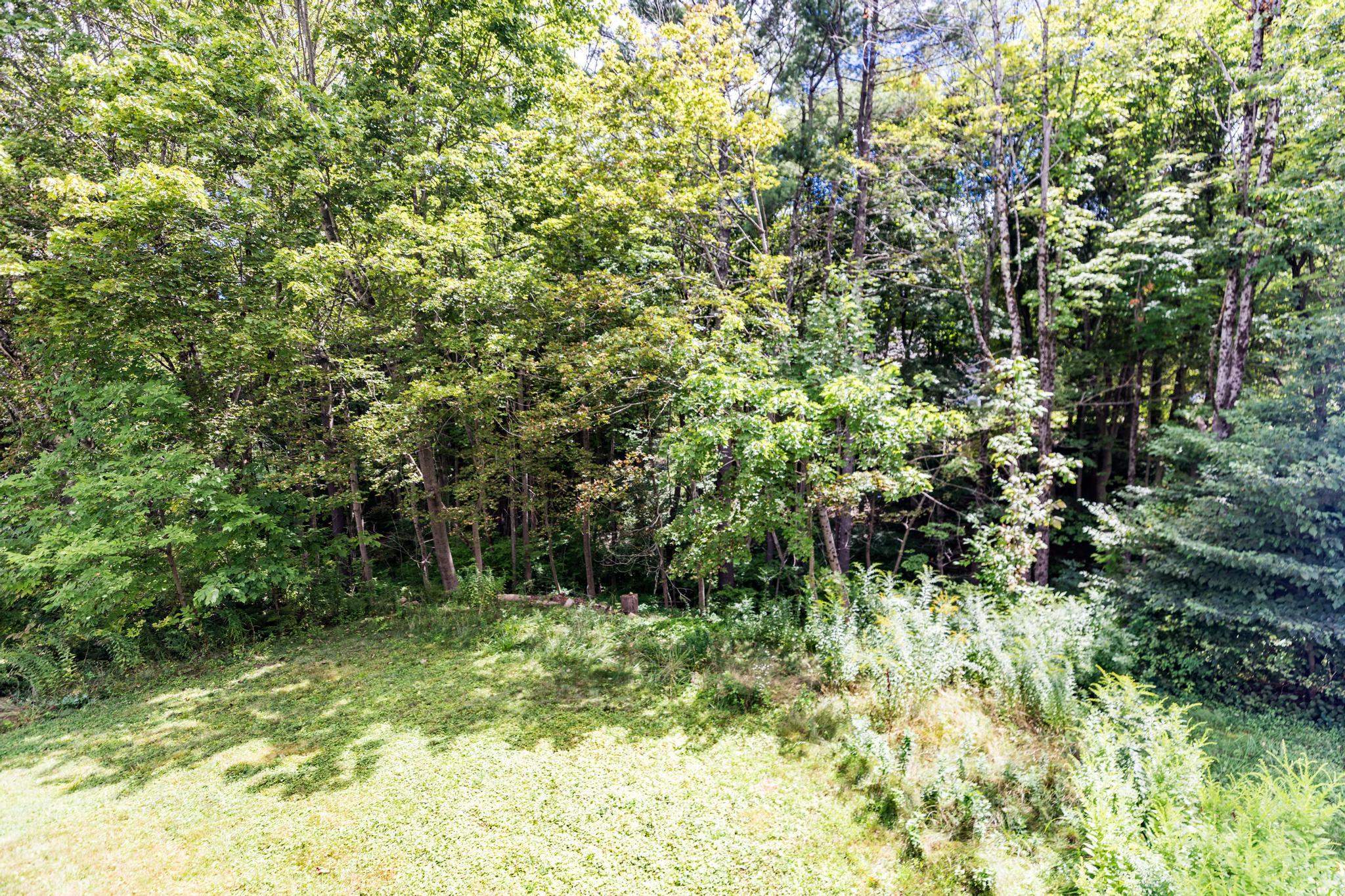 28 Coe Drive Property Photo 34