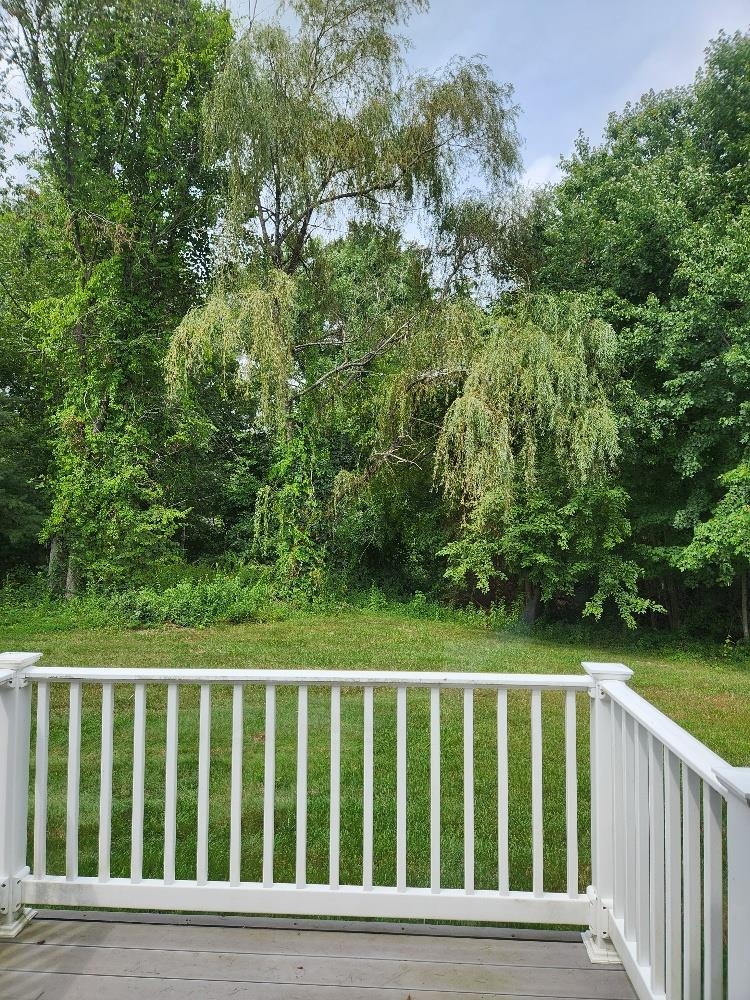 491 Mammoth Road Property Photo 22