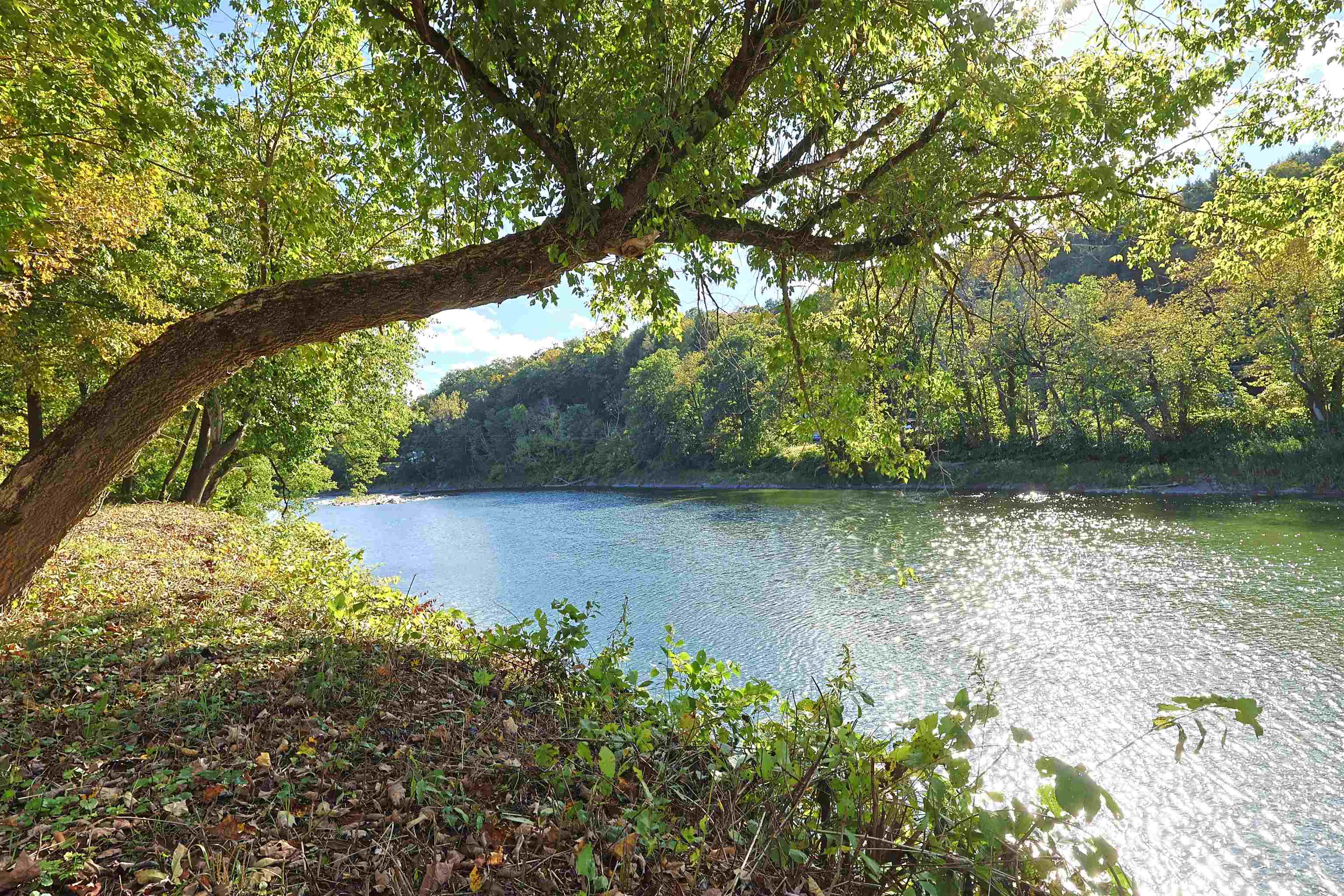 5255 Route 14 Property Photo 46