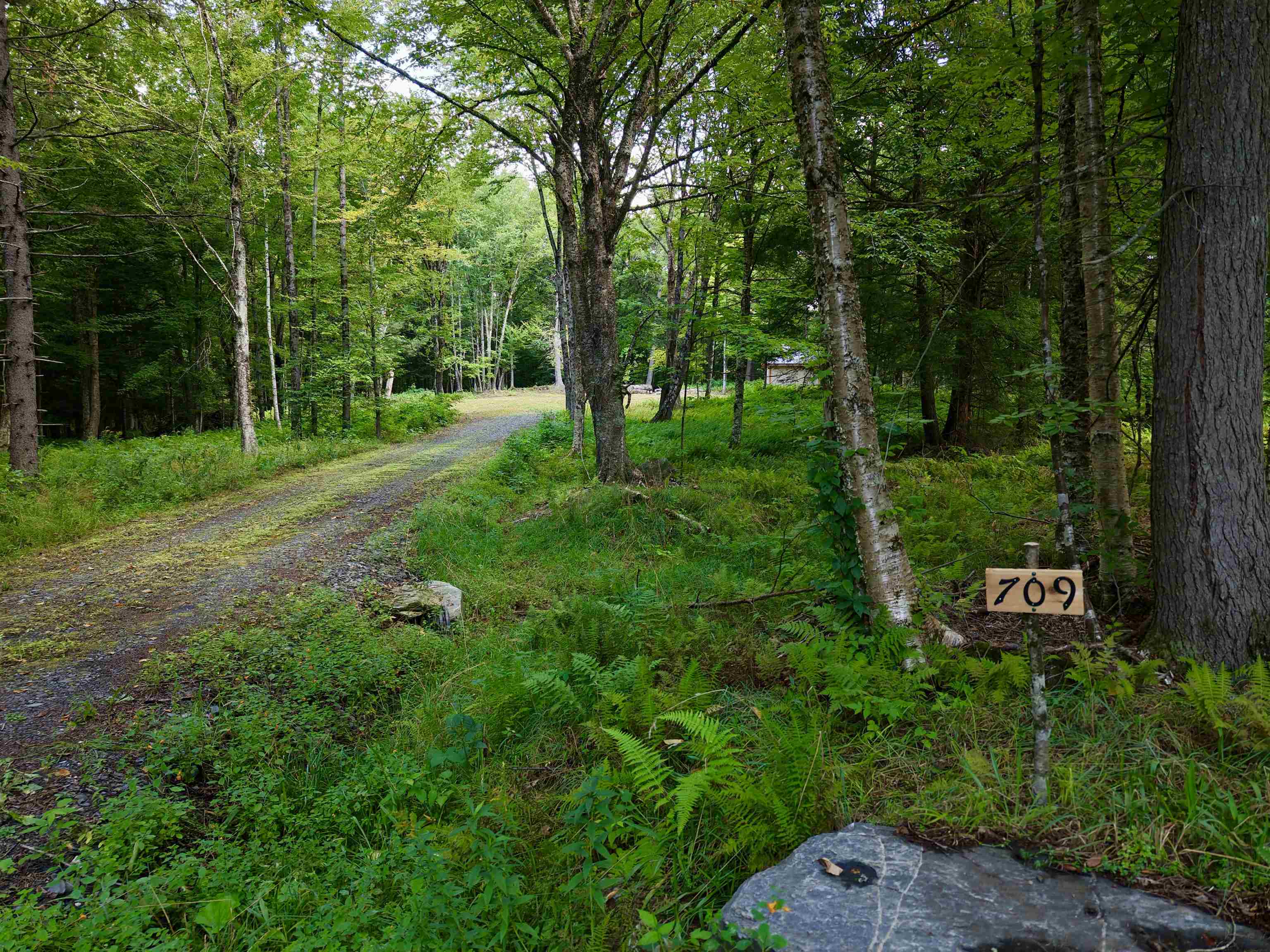 709 Bertha Springs Road