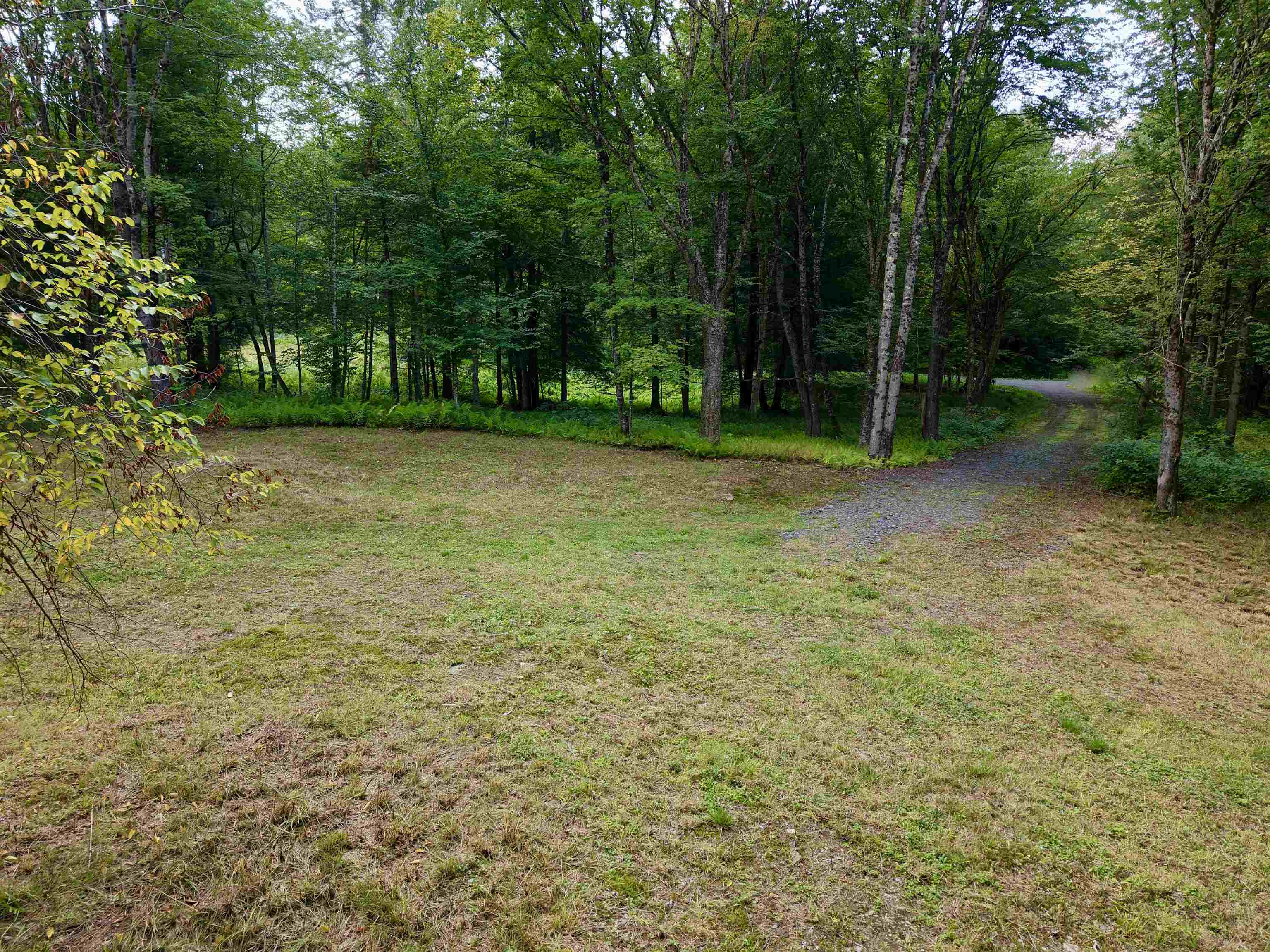 709 Bertha Springs Road Property Photo 10