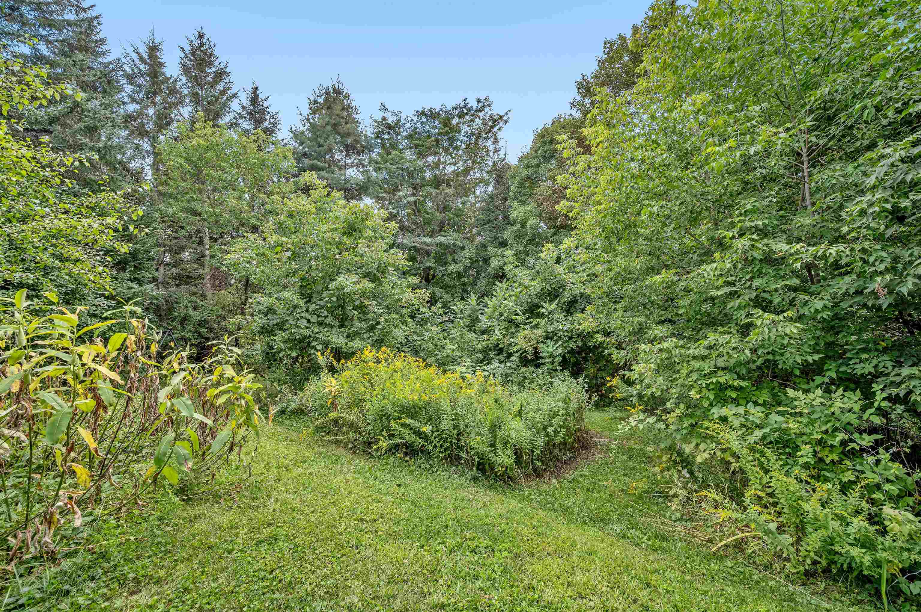 28 Waterman Street Property Photo 35