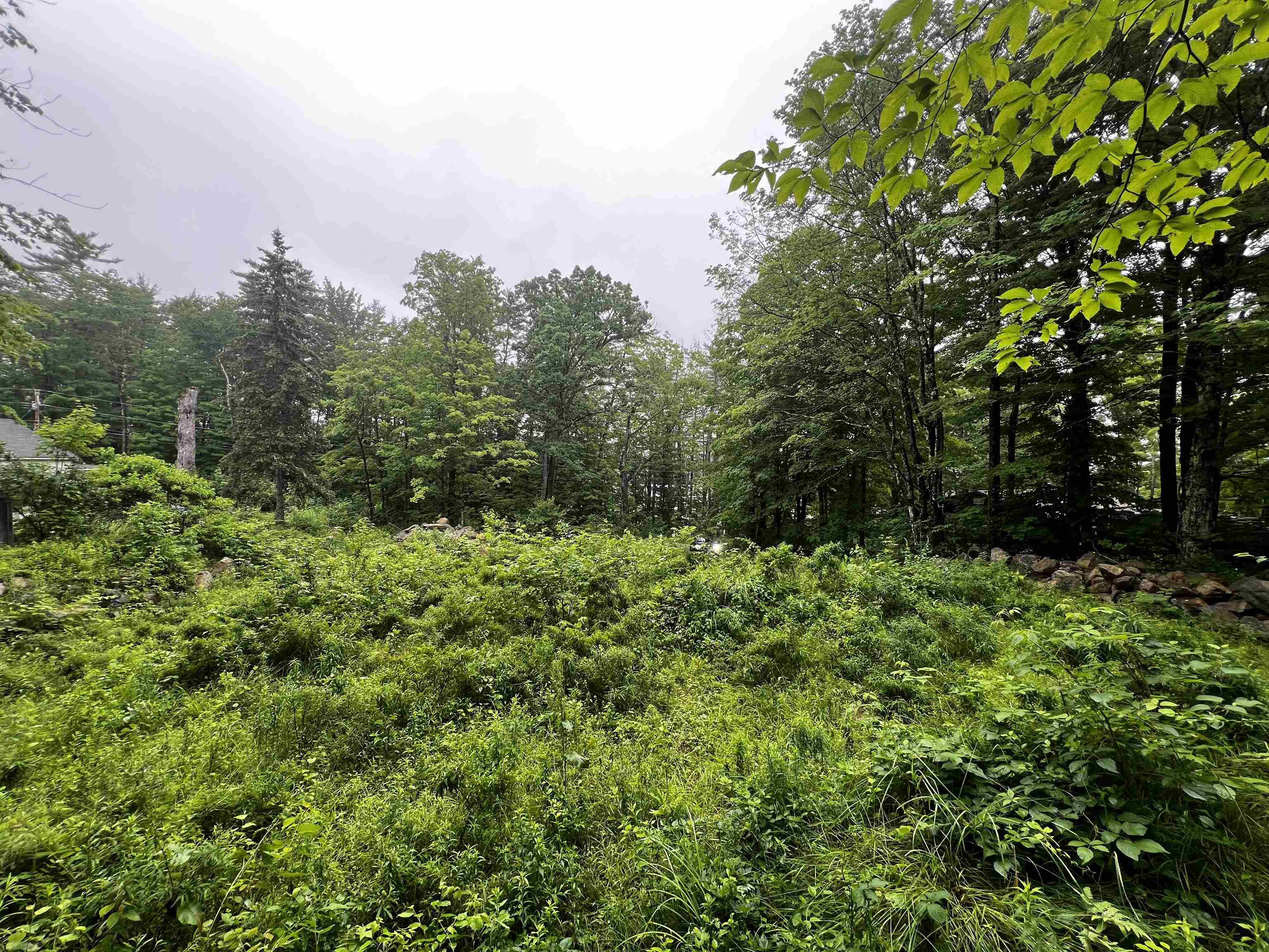 Jenness Hill Road Property Photo 1