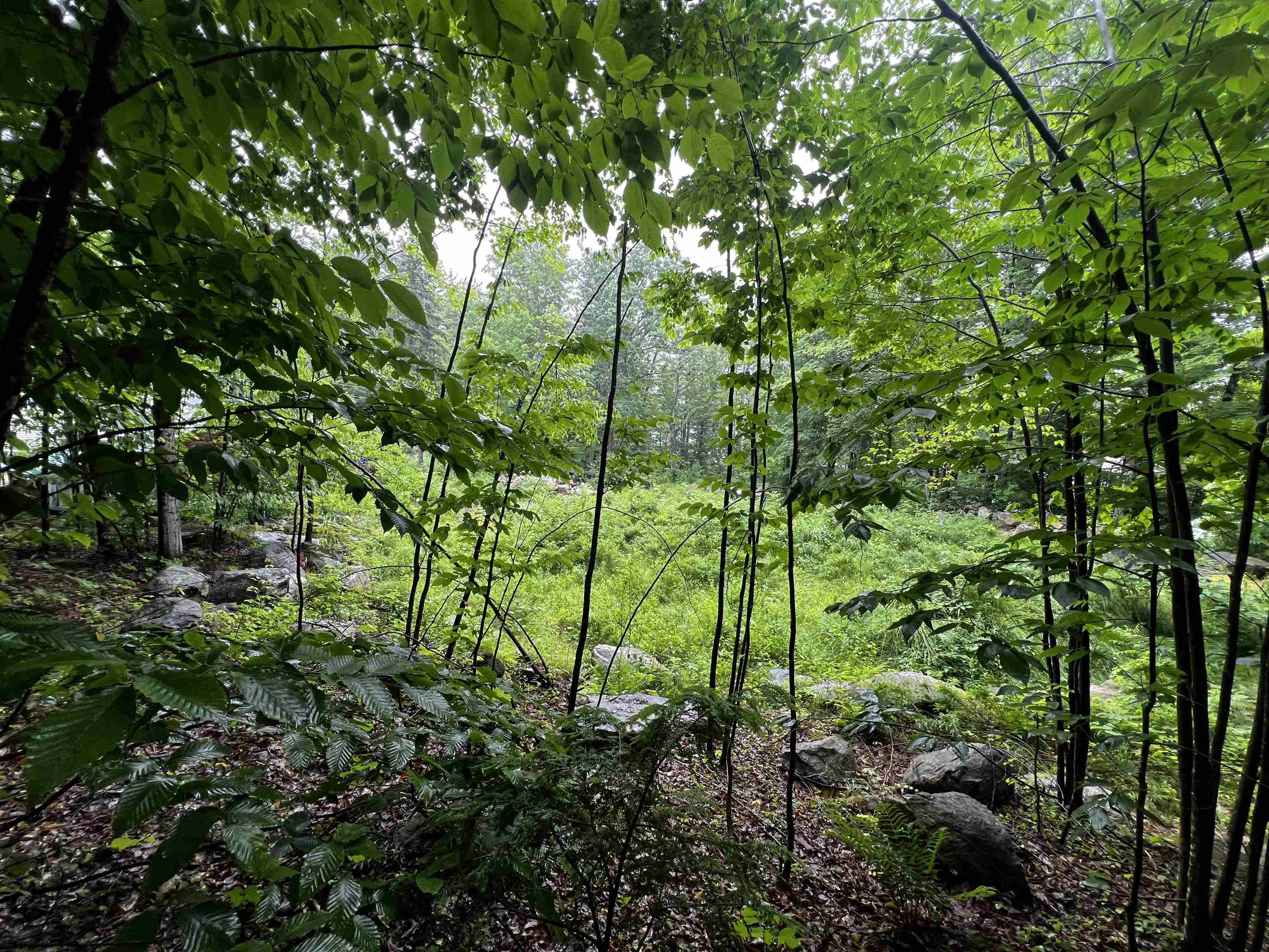 Jenness Hill Road Property Photo 2