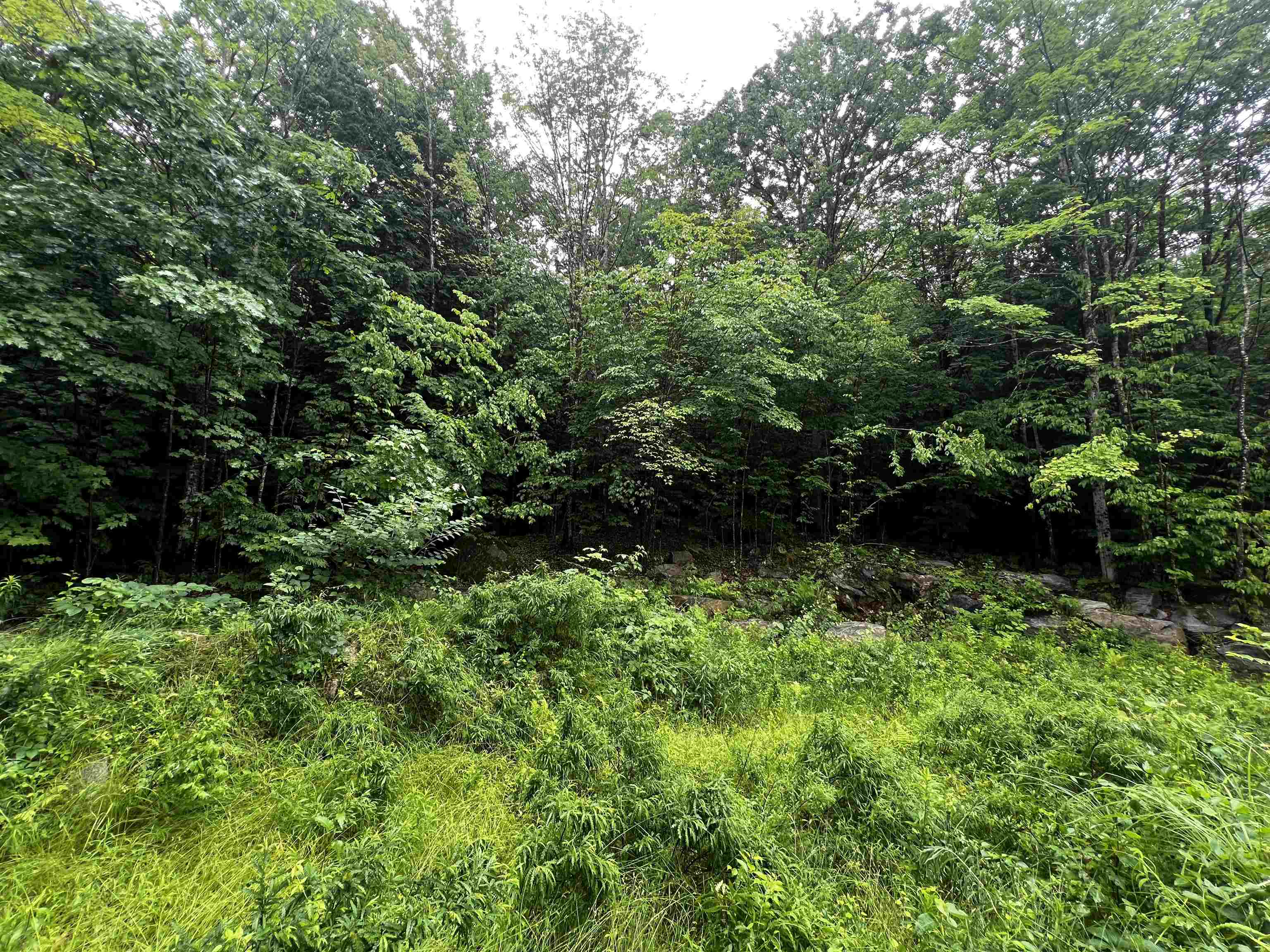 Jenness Hill Road Property Photo 3