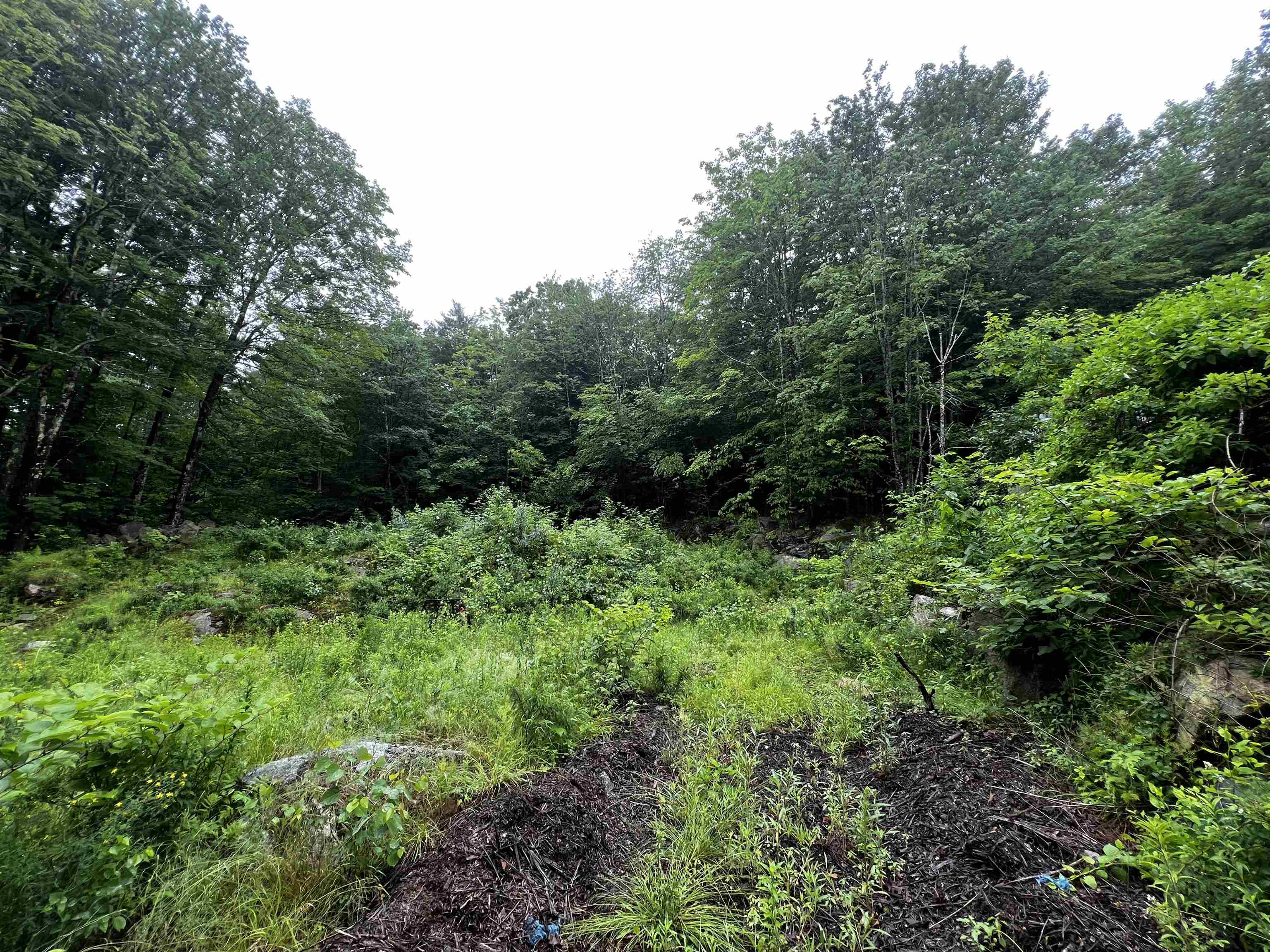 Jenness Hill Road Property Photo 4