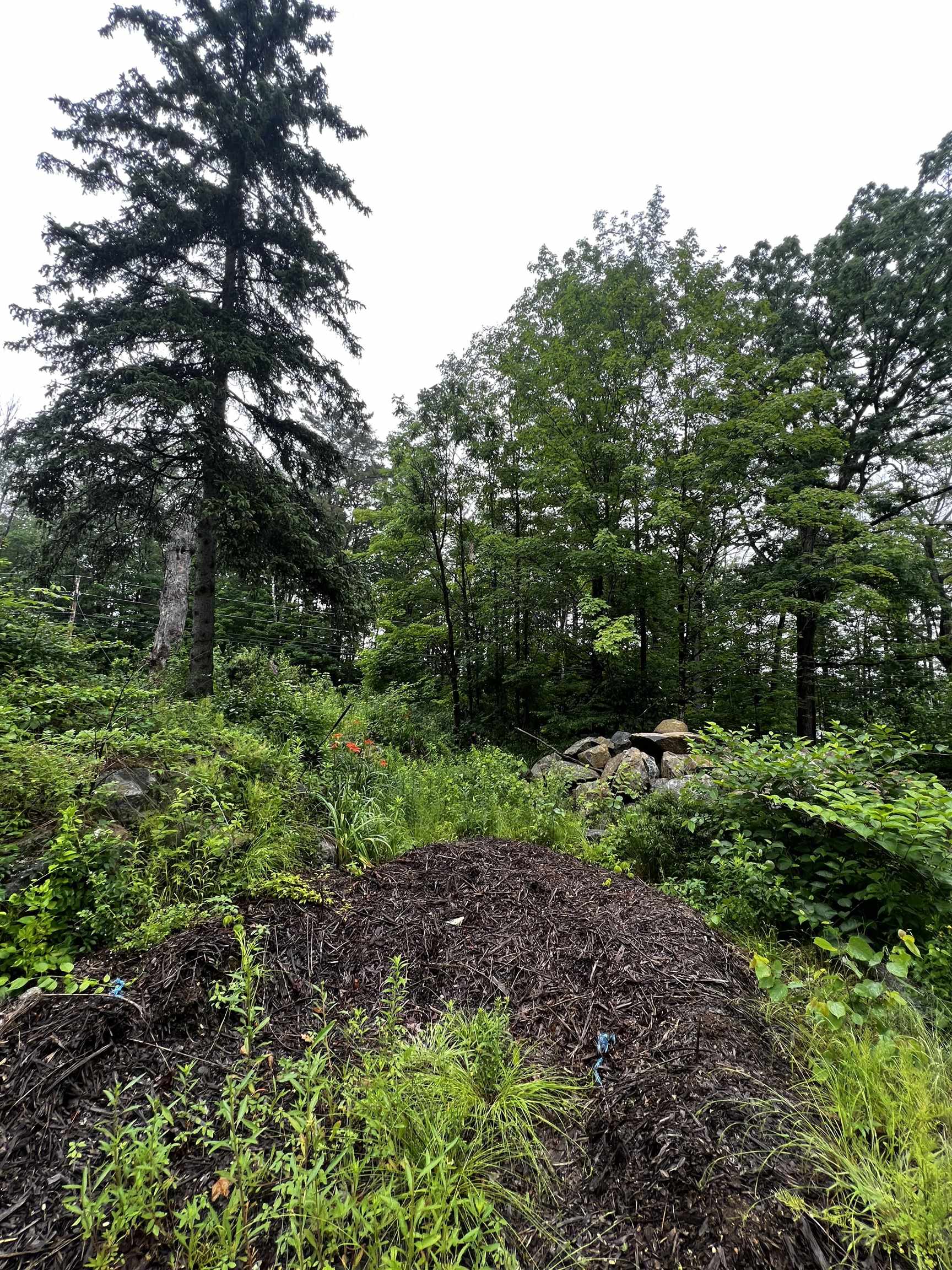 Jenness Hill Road Property Photo 6