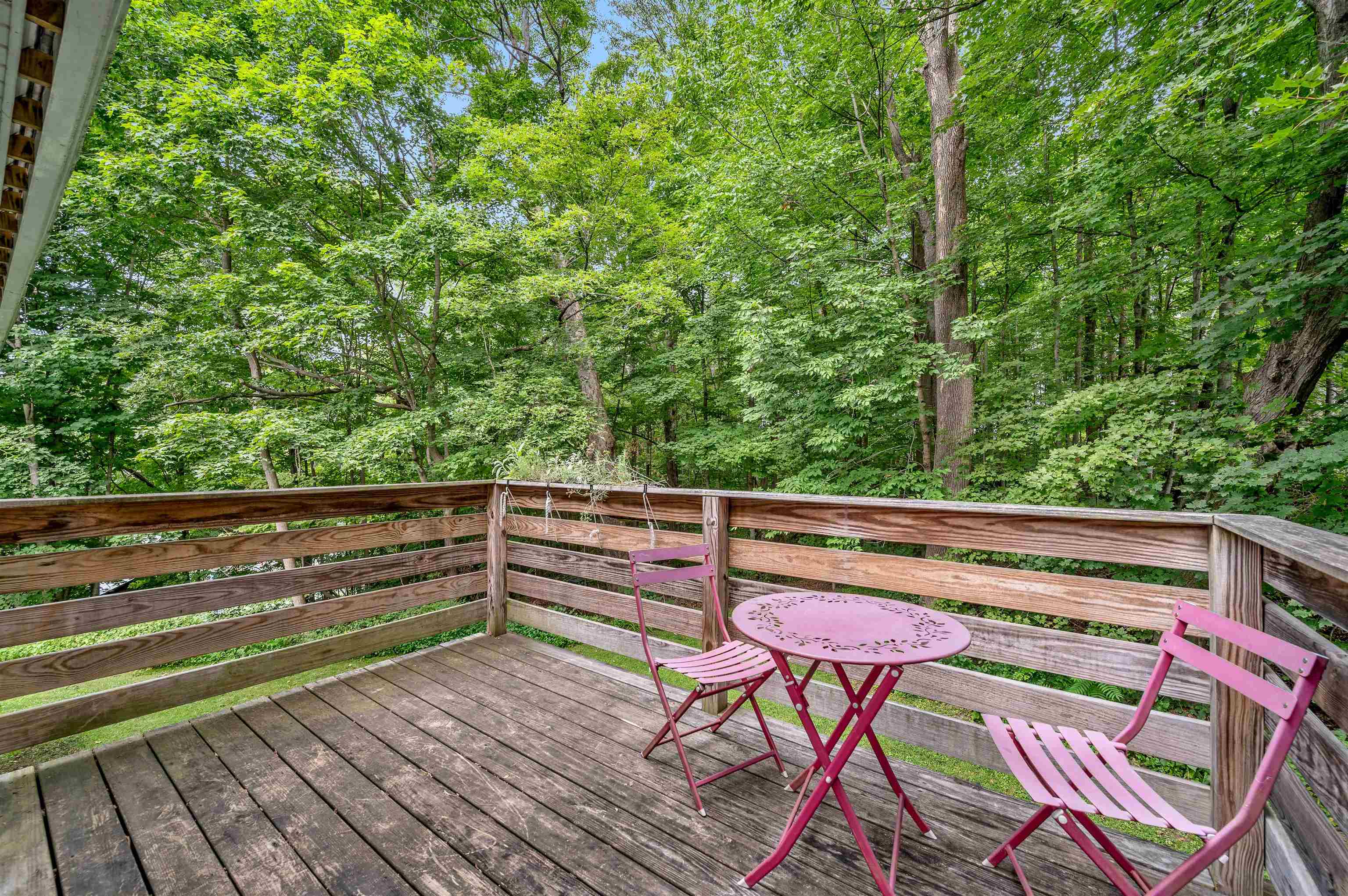 18 Maplewood Avenue Property Photo 23