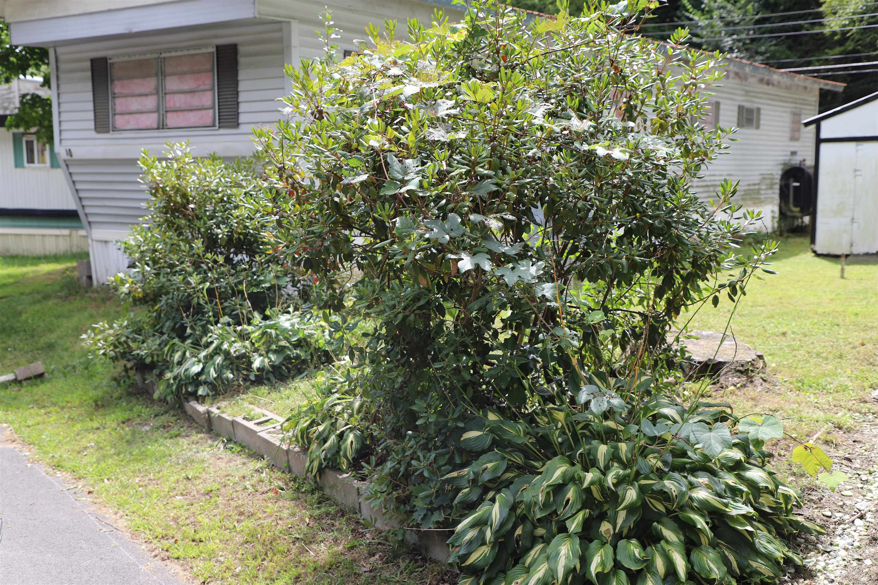 11 Crescent Drive Property Photo 32