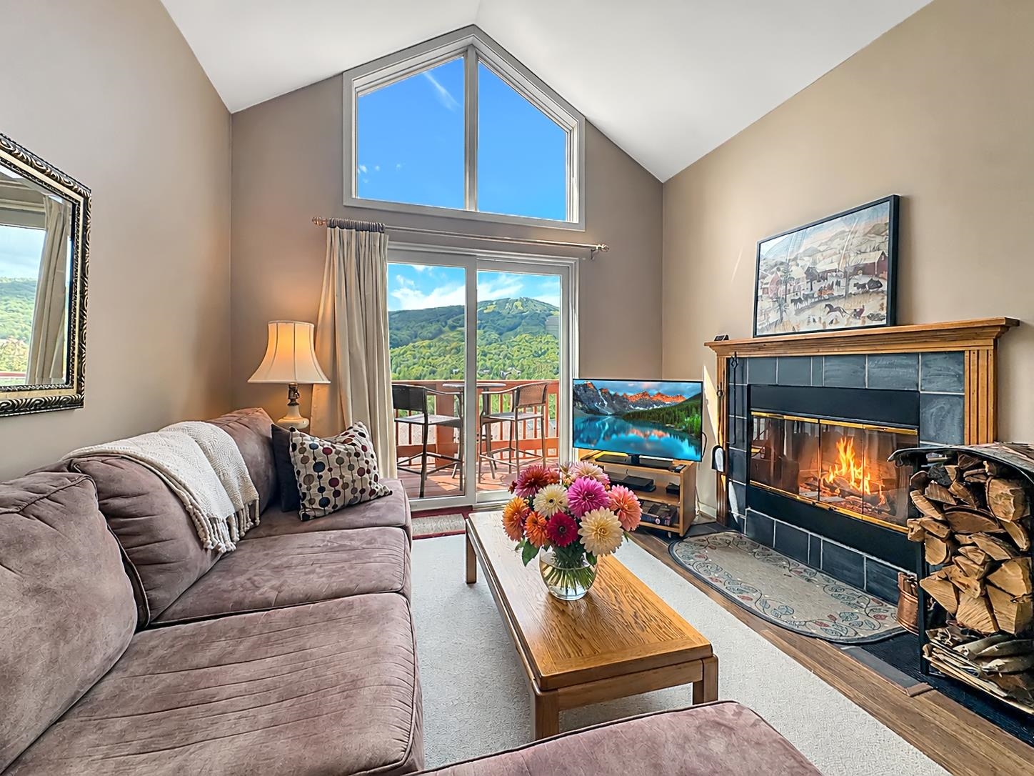 17f Mountain Village Property Photo 3
