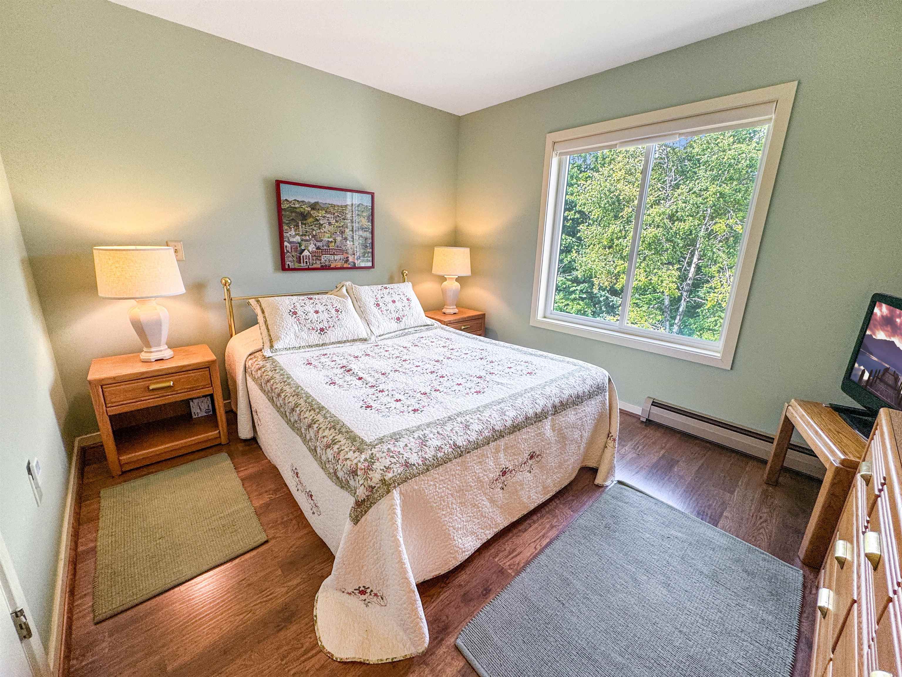 17f Mountain Village Property Photo 5