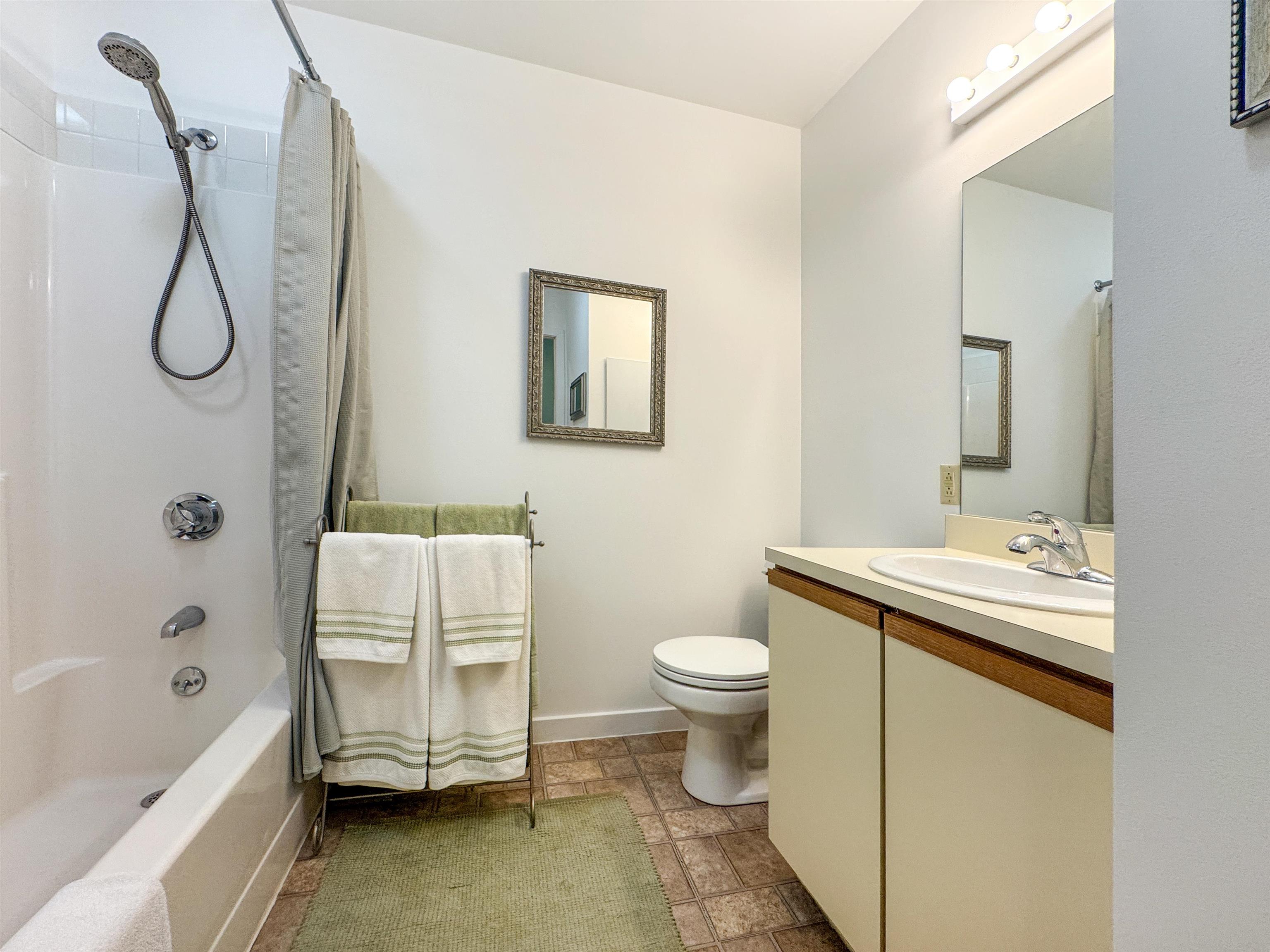 17f Mountain Village Property Photo 7