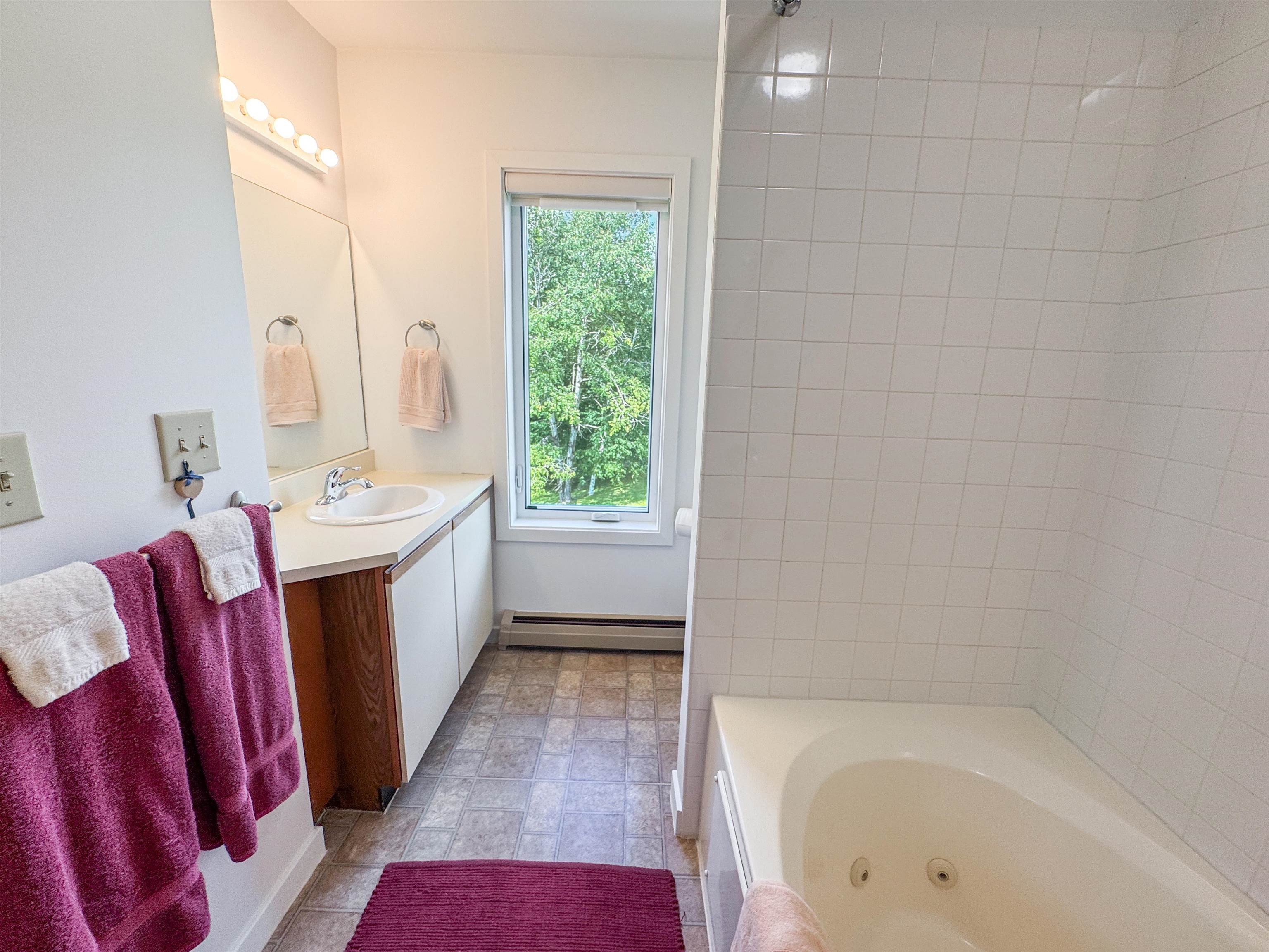 17f Mountain Village Property Photo 13