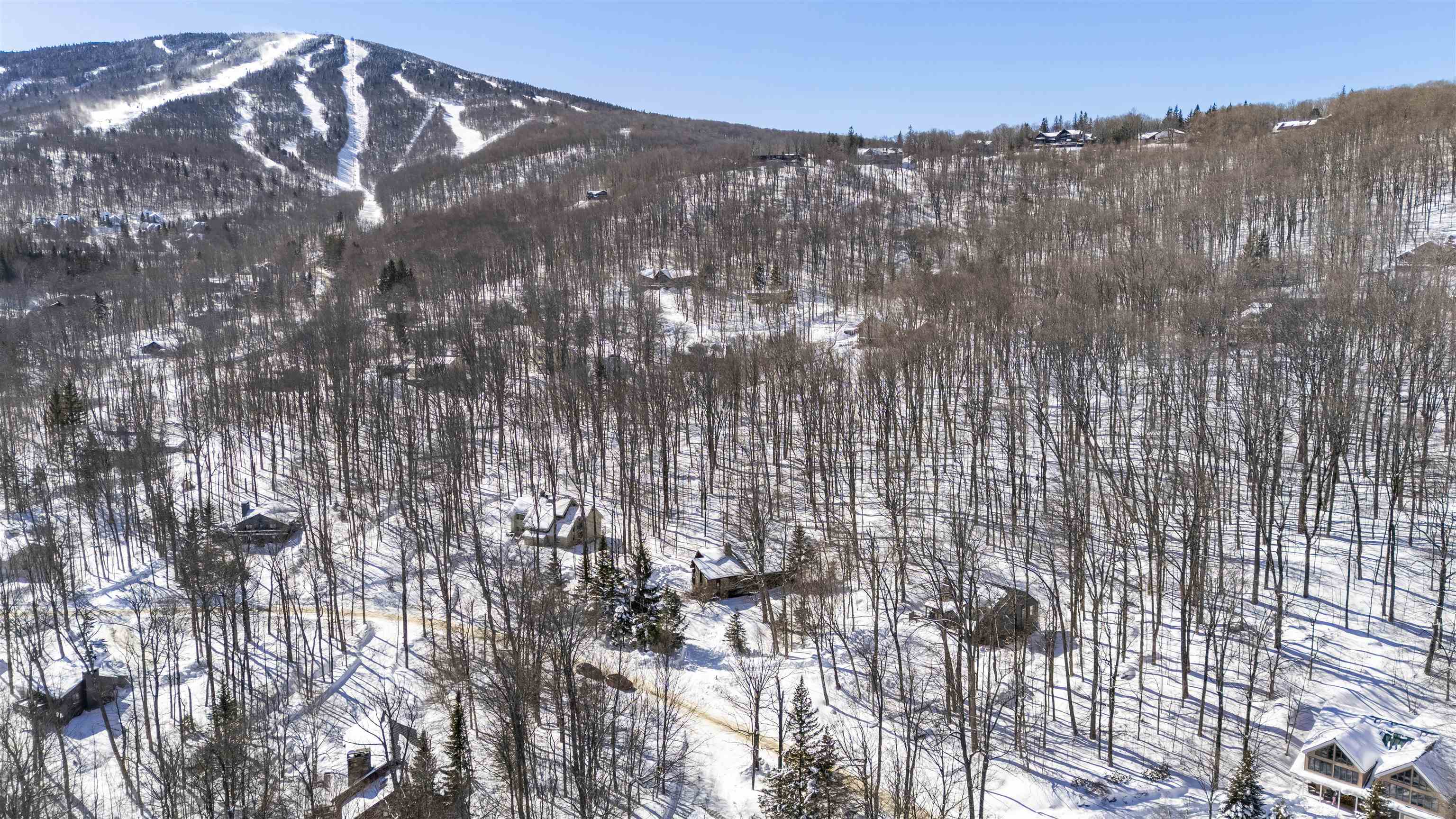 11 Round Tree Road Property Photo 40