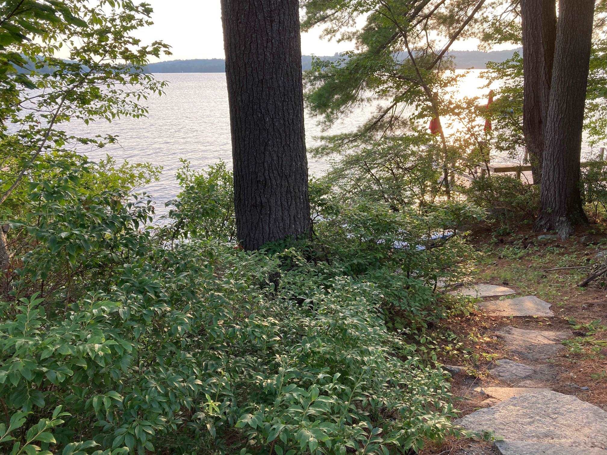 4 Lake Avenue Property Photo 3