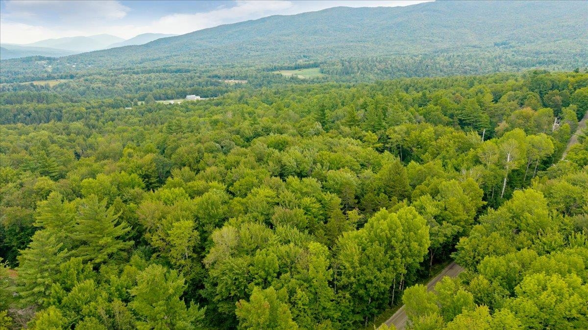 1627 Stebbins Road Property Photo 4