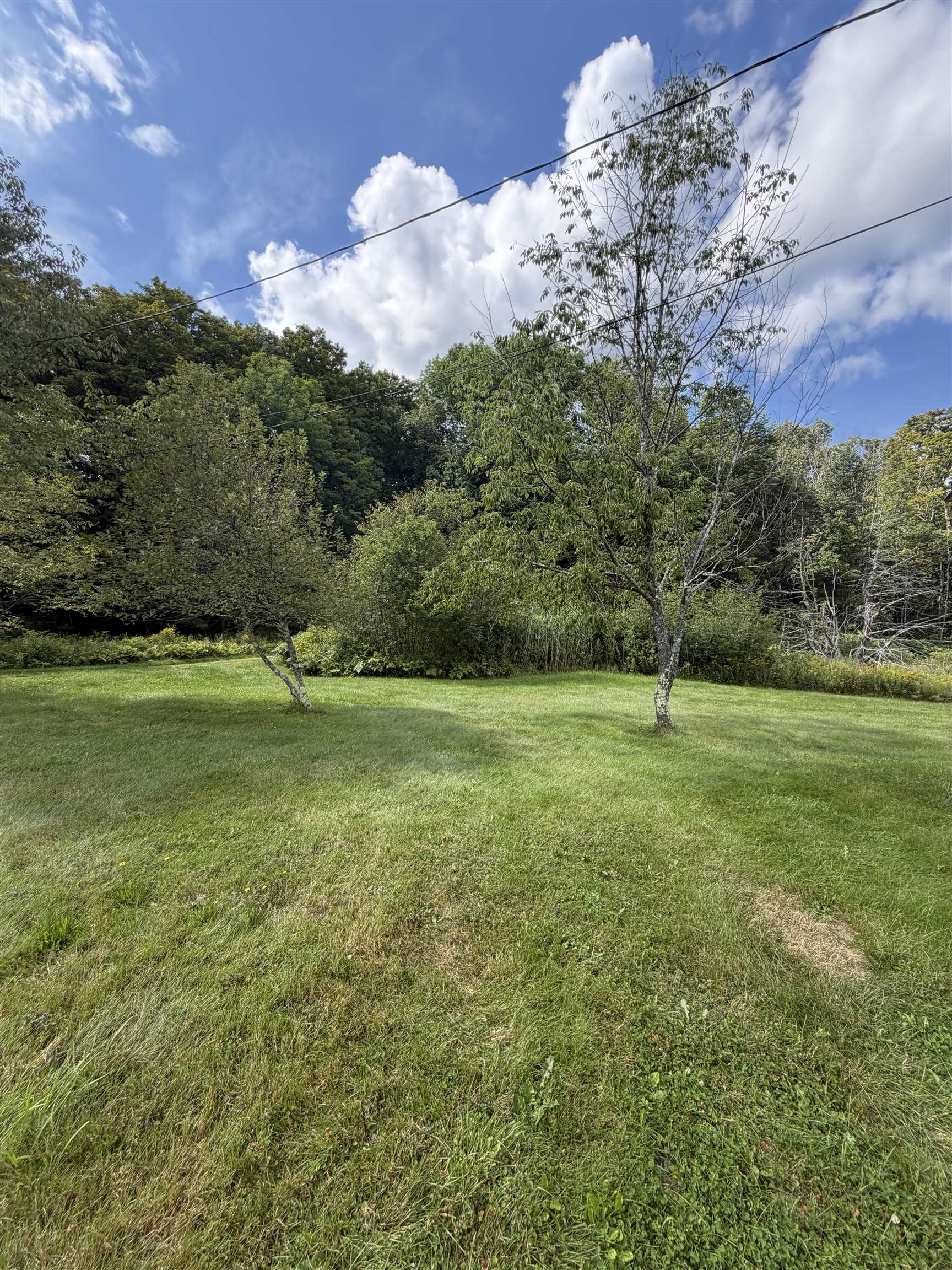 50 Lynn Hill Road Property Photo 27