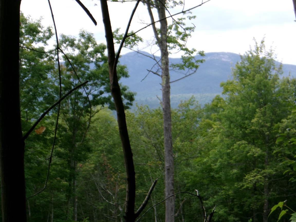 Perkins Hill Road Property Photo 2