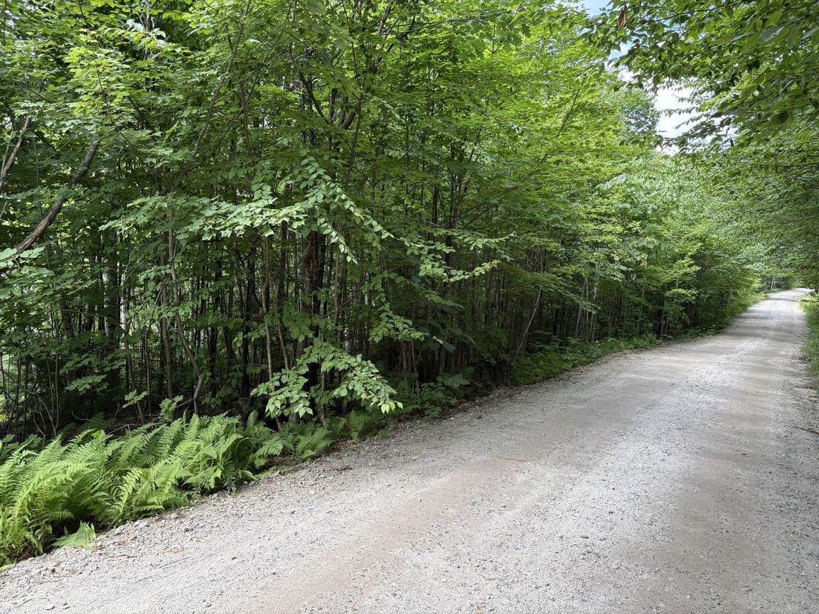 Perkins Hill Road Property Photo 3
