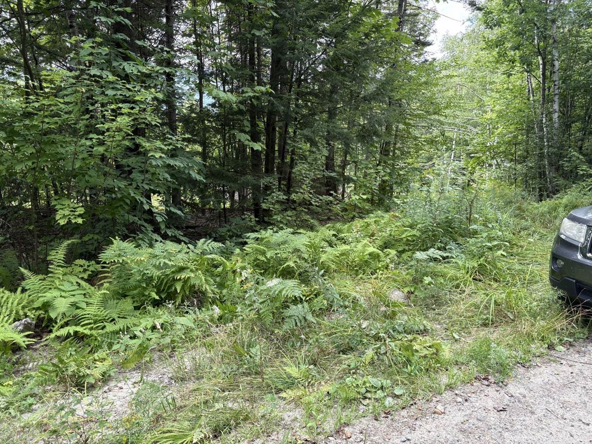 Perkins Hill Road Property Photo 8