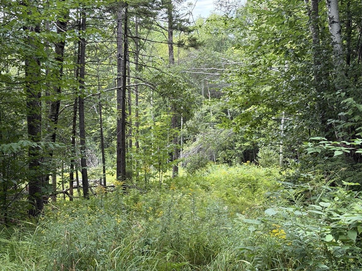 Perkins Hill Road Property Photo 9