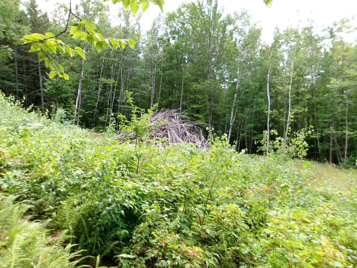 Perkins Hill Road Property Photo 12