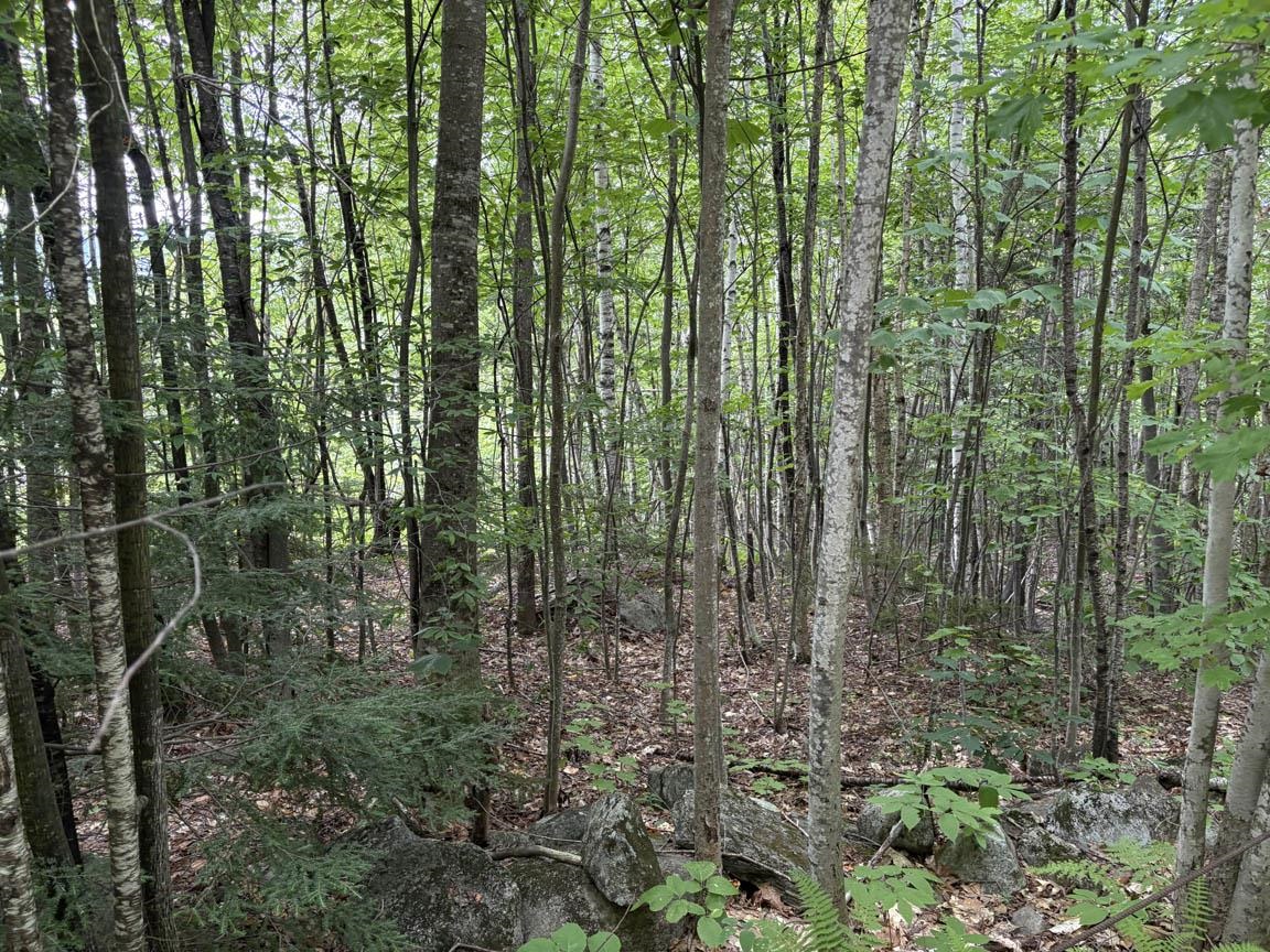 Perkins Hill Road Property Photo 13