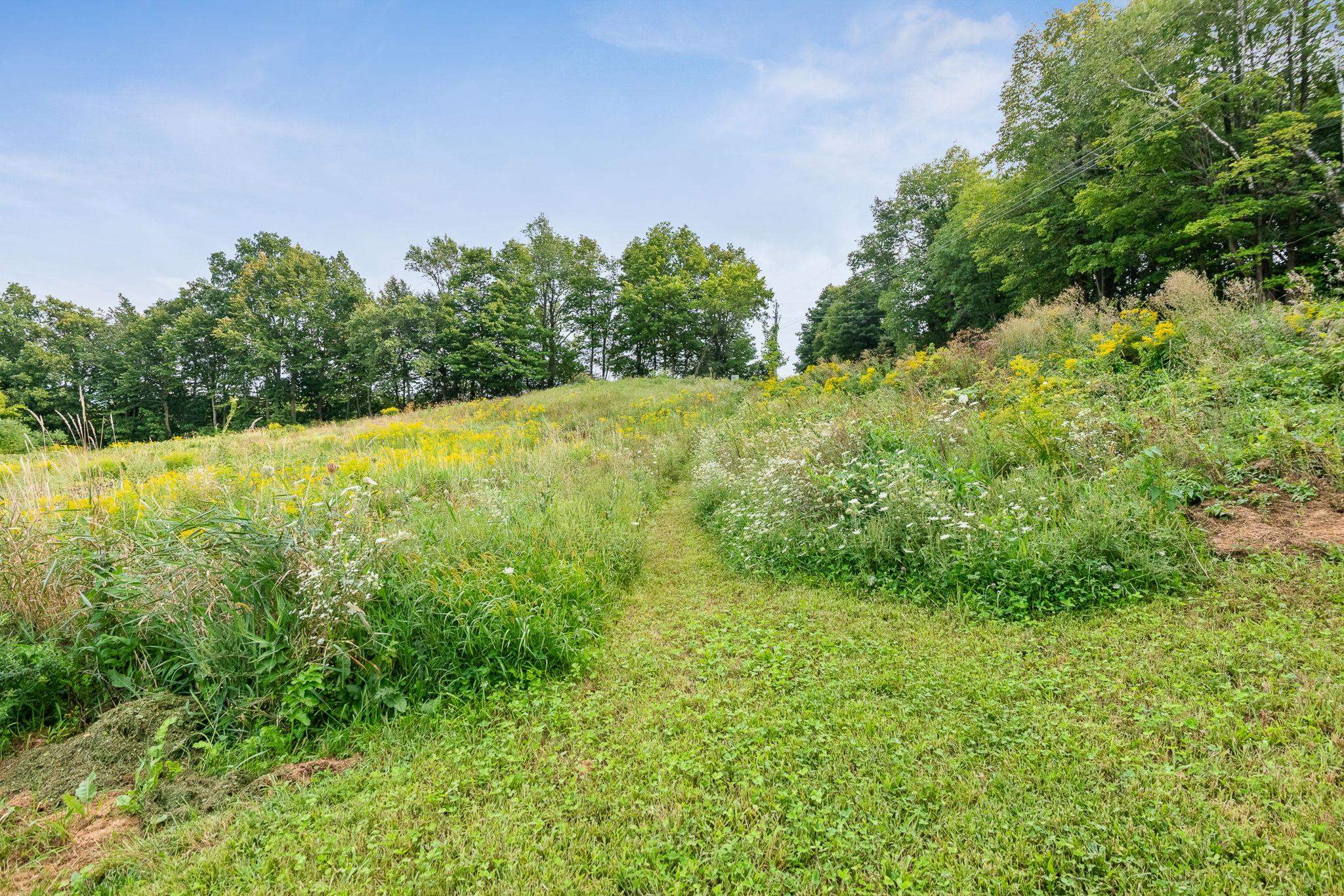 2944 Shellhouse Mountain Road Property Photo 57