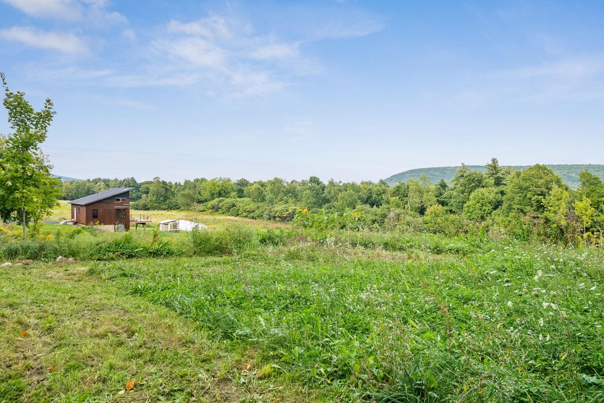 2944 Shellhouse Mountain Road Property Photo 59