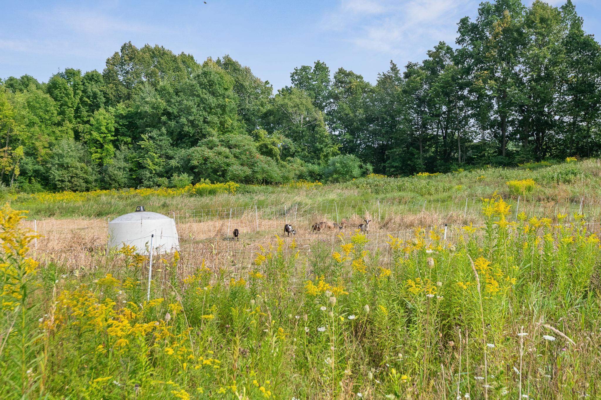 2944 Shellhouse Mountain Road Property Photo 60