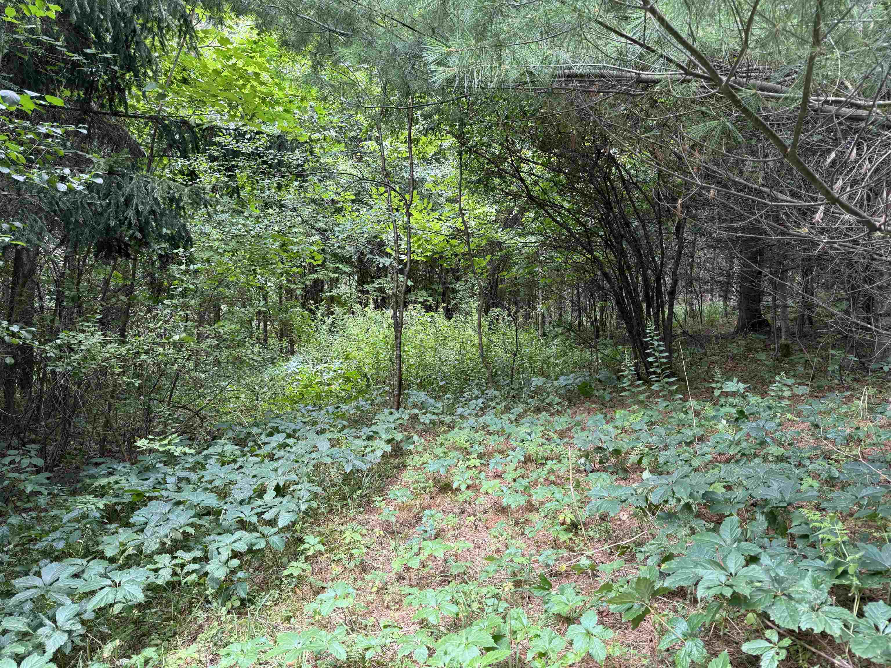1252 Peth Road Property Photo 30