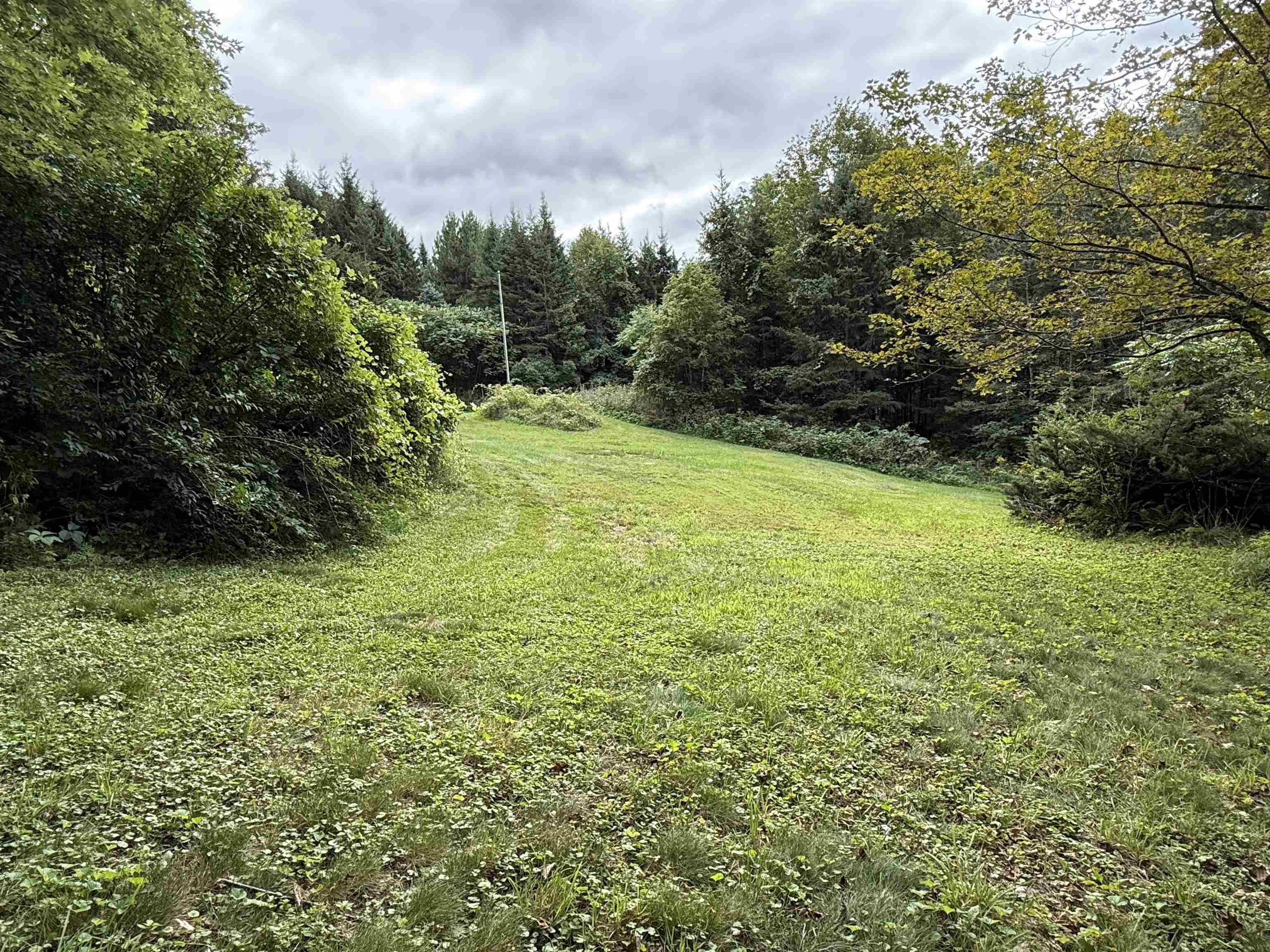 1252 Peth Road Property Photo 32