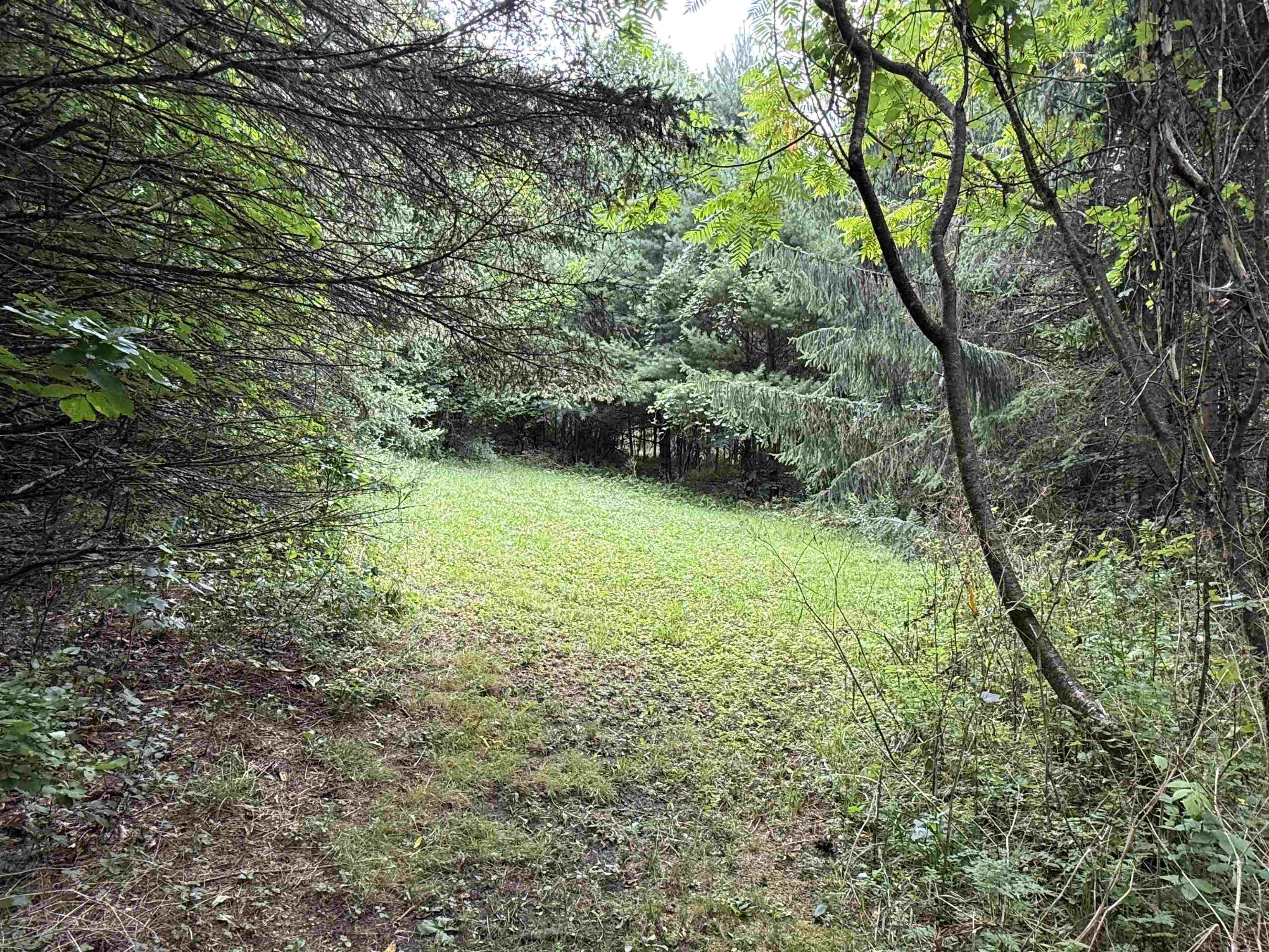 1252 Peth Road Property Photo 33