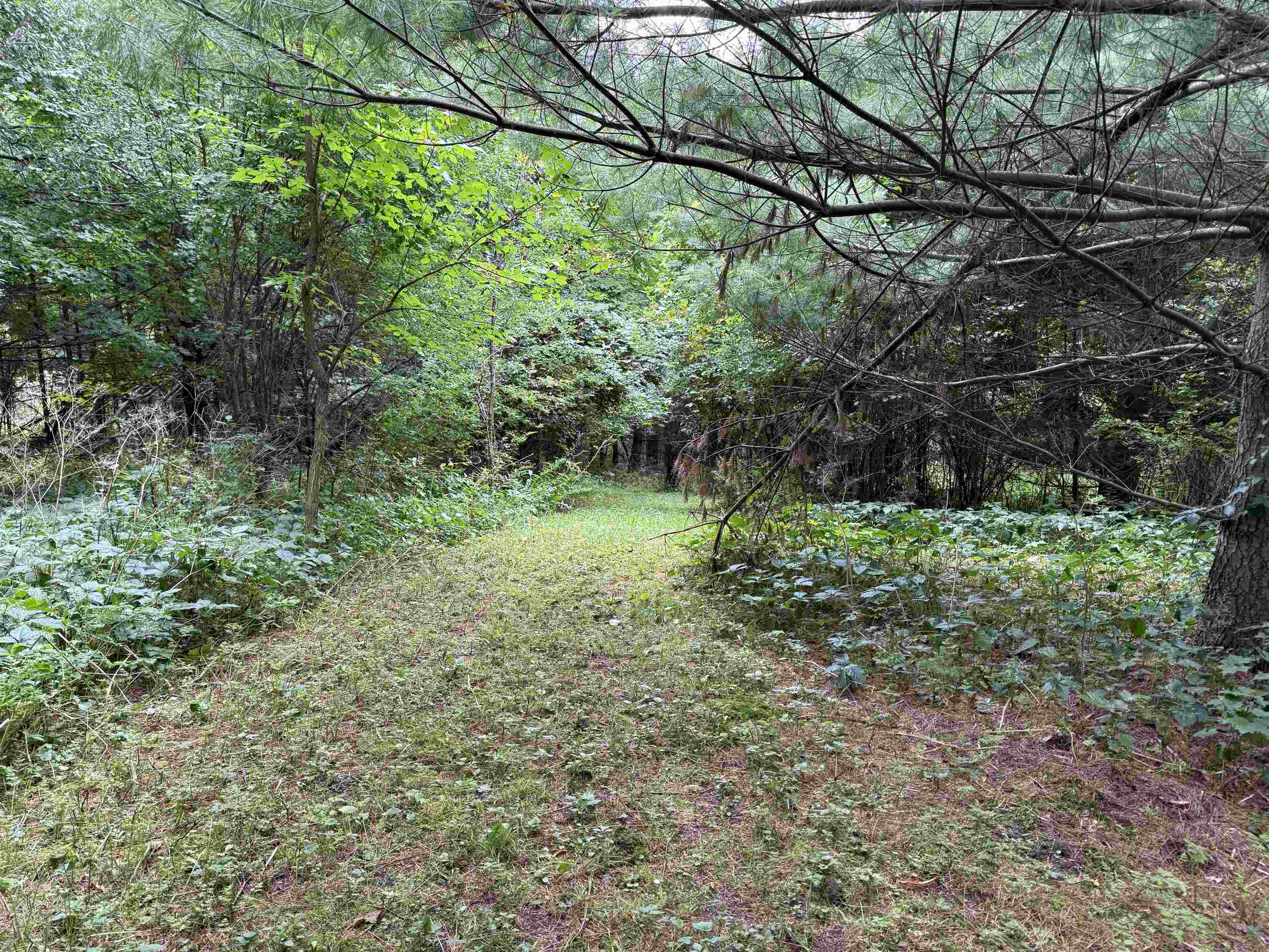 1252 Peth Road Property Photo 35