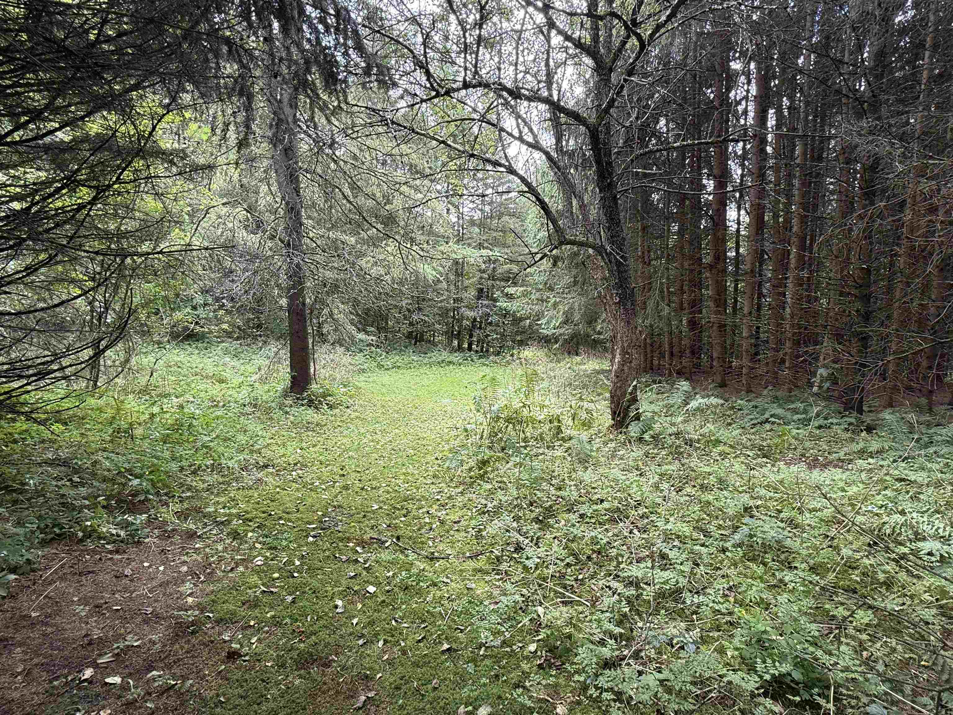 1252 Peth Road Property Photo 36