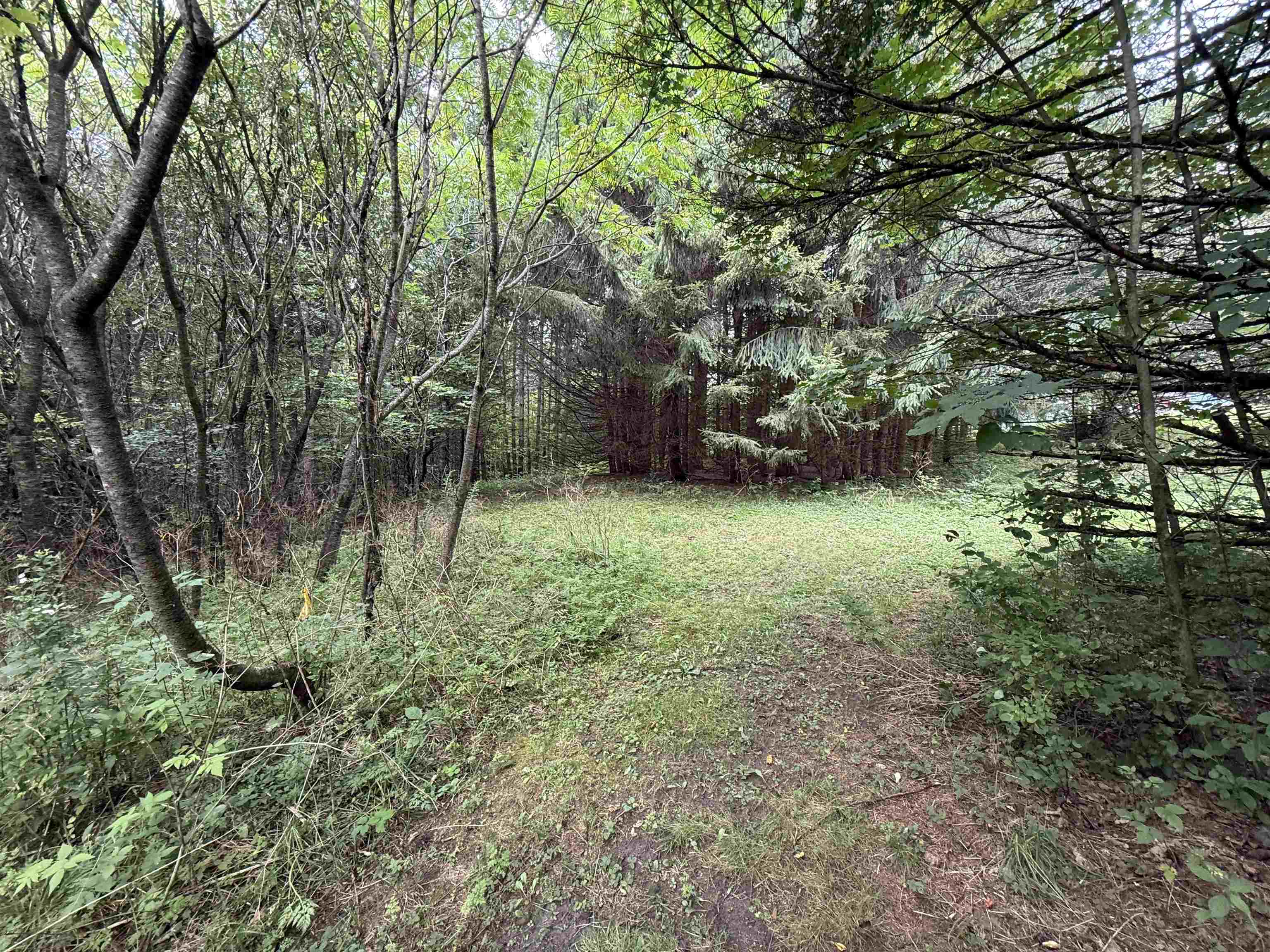 1252 Peth Road Property Photo 39