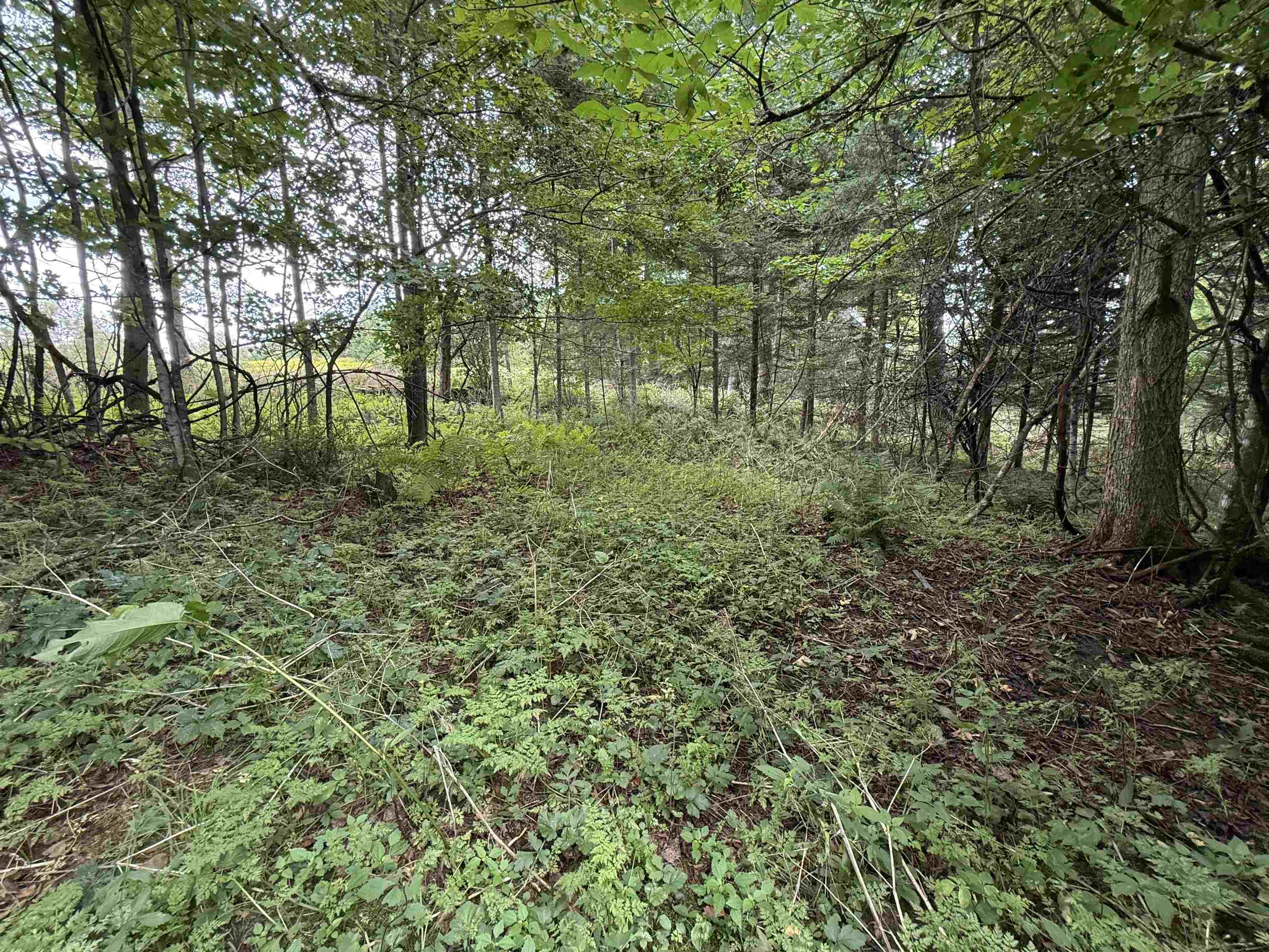 1252 Peth Road Property Photo 40