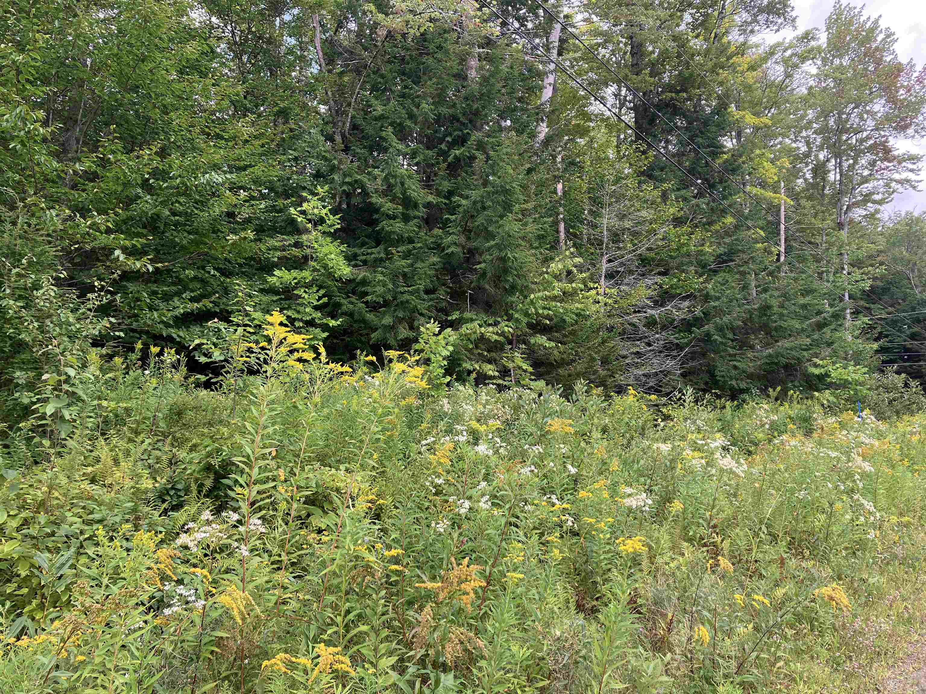 925 Porcupine Lane Property Photo 1