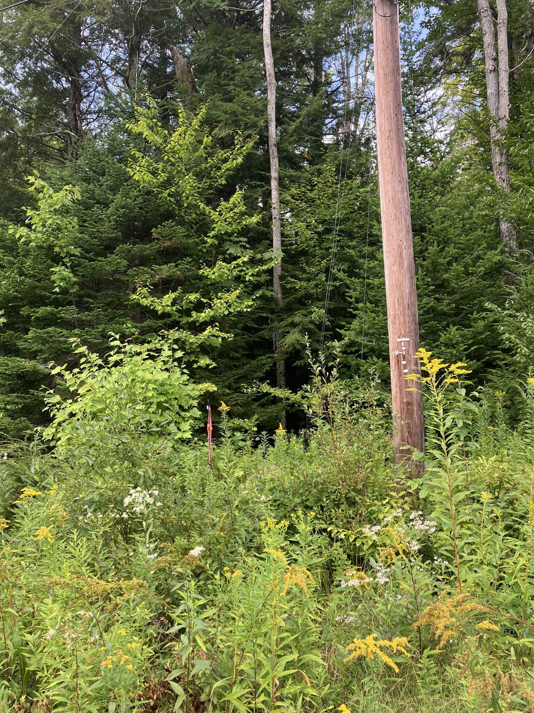 925 Porcupine Lane Property Photo 2