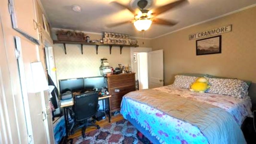 481 Hall Street Property Photo 7